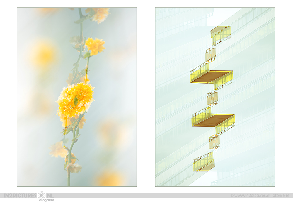 double-double-exposure