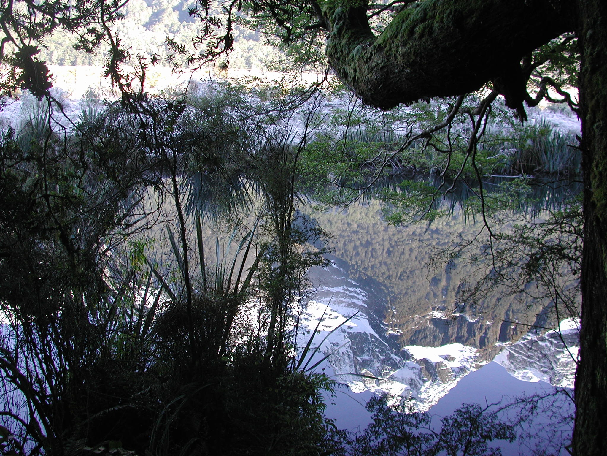 zuidereiland-nieuw-zeeland