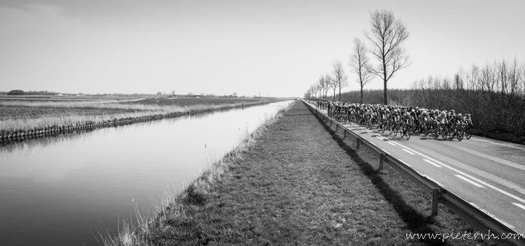 gent-wevelgem-2014