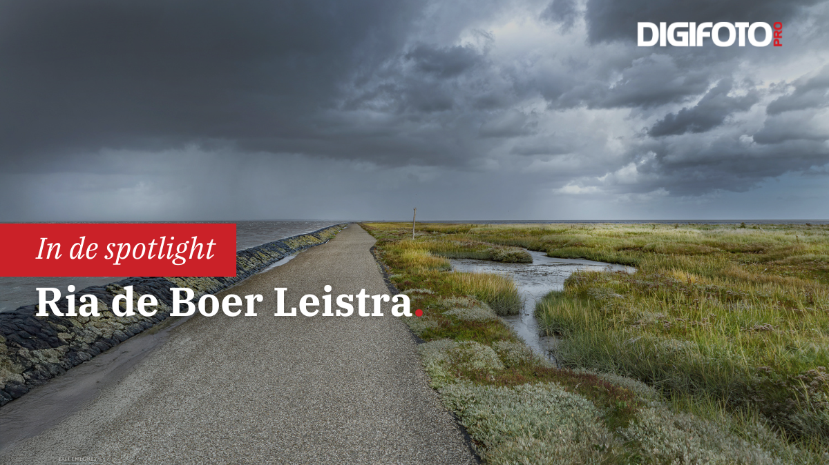 spotlight-van-de-week-2-digifoto-pro-gallery