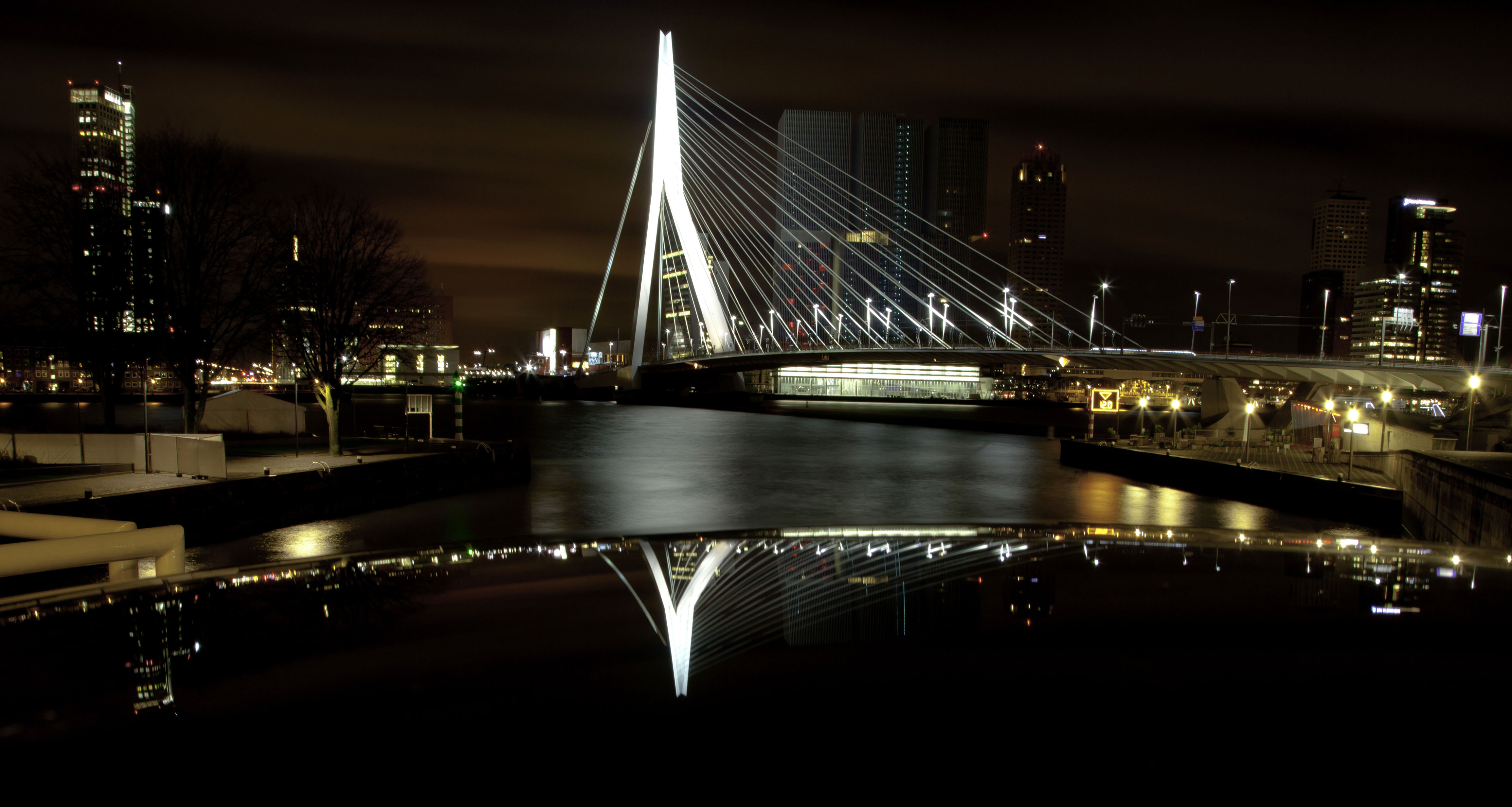 erasmusbrugerasmusbrug