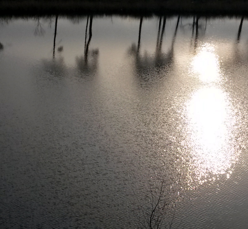 beneath-the-quiet-surface