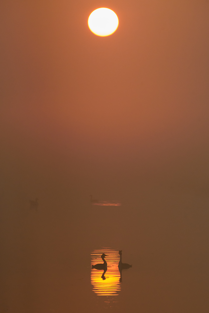 futen-in-de-zonspiegeling