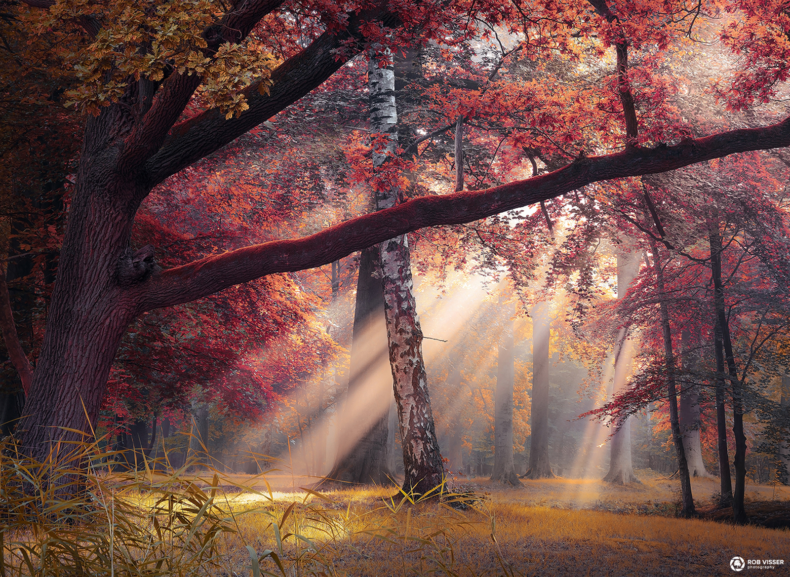 palette-des-saisons