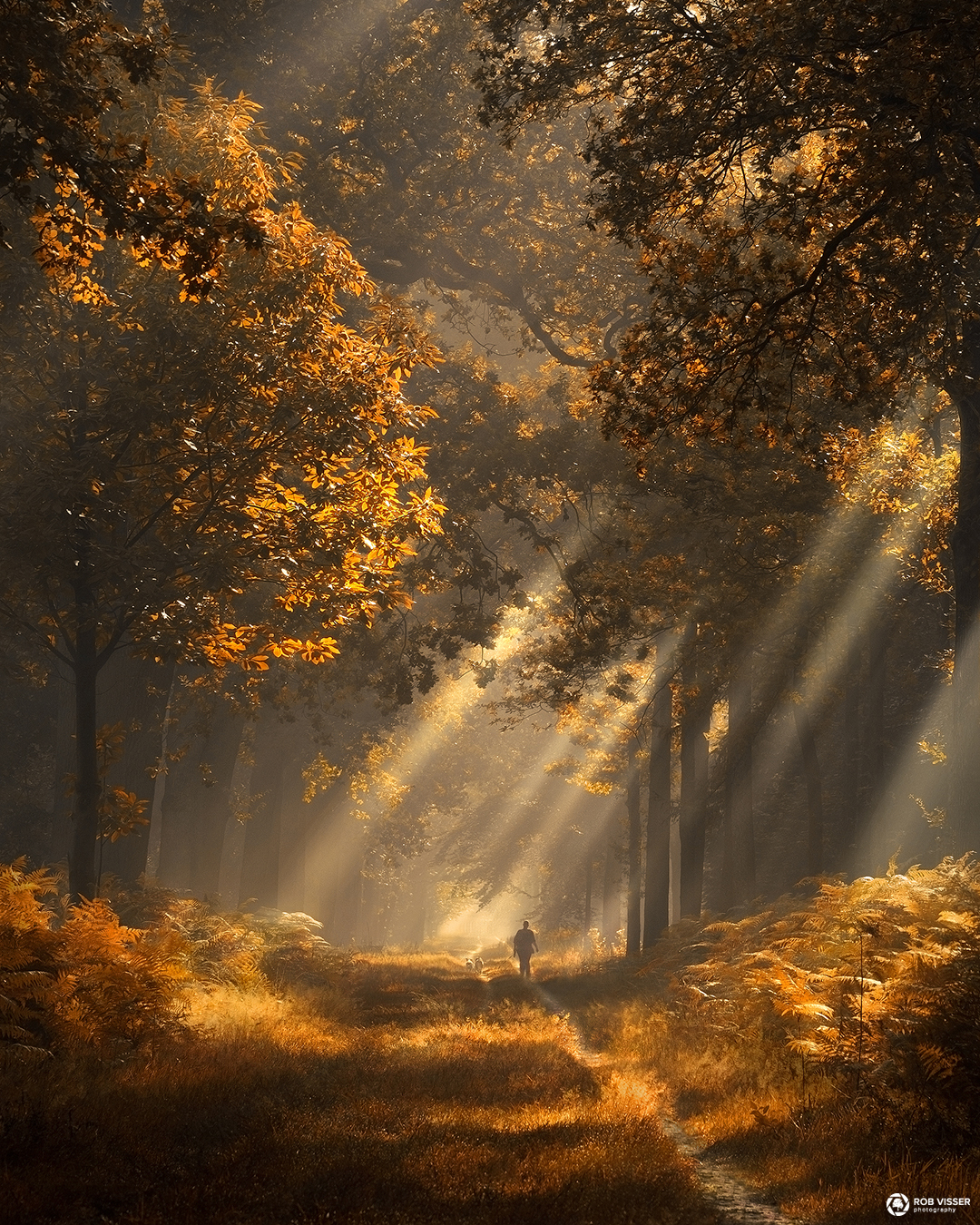 strings-of-autumn