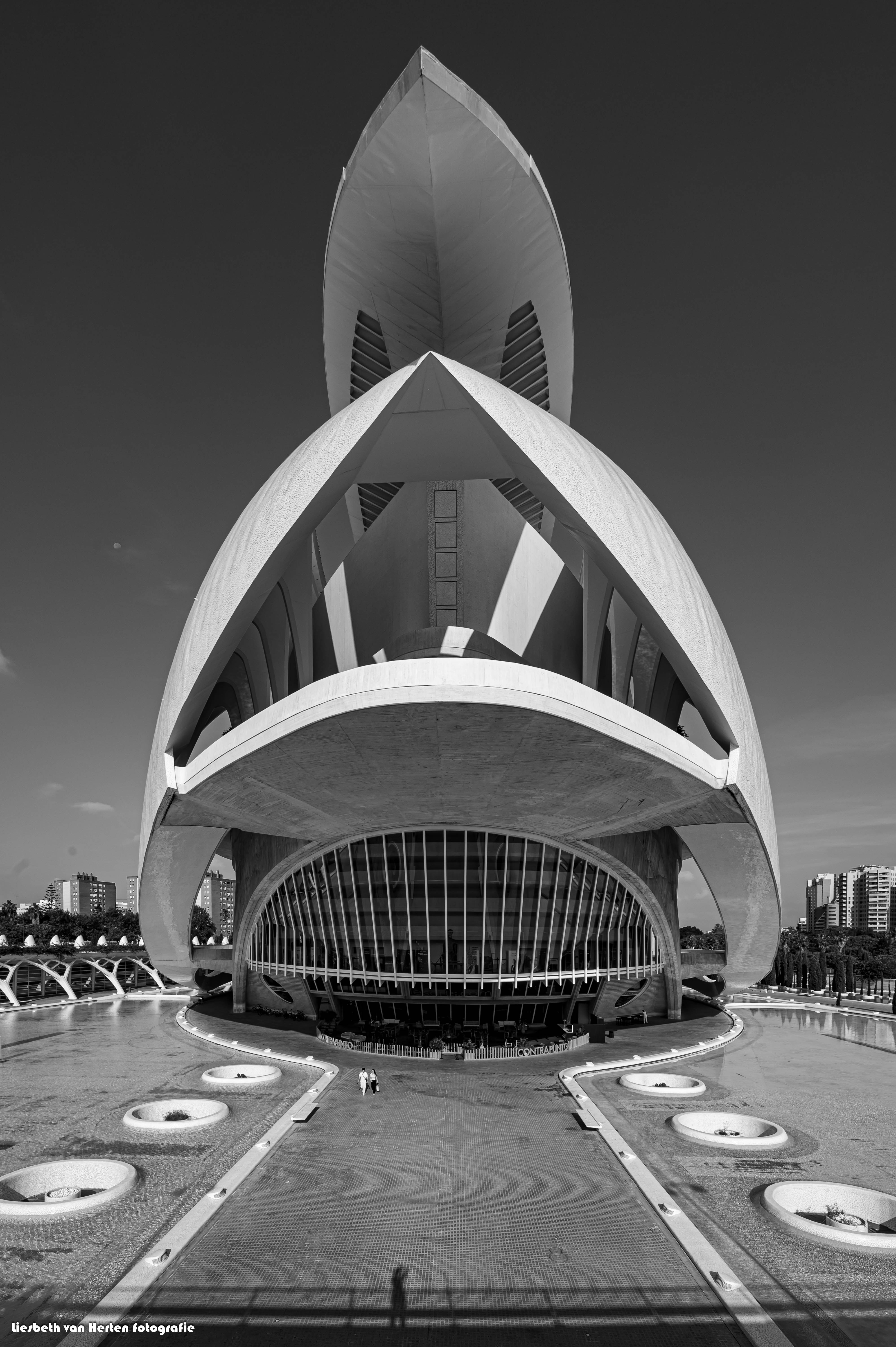 valencia-palau-de-les-arts