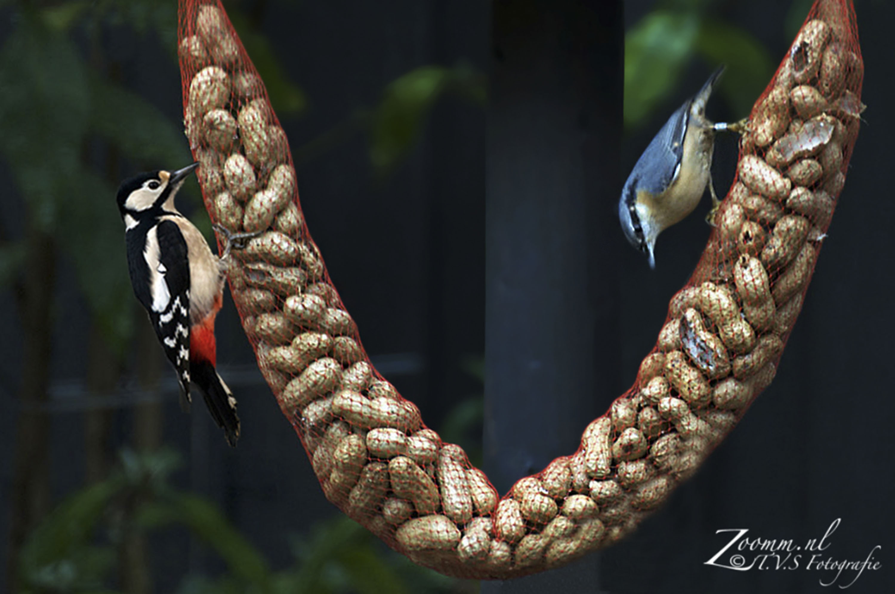 samen-op-de-pindaslinger