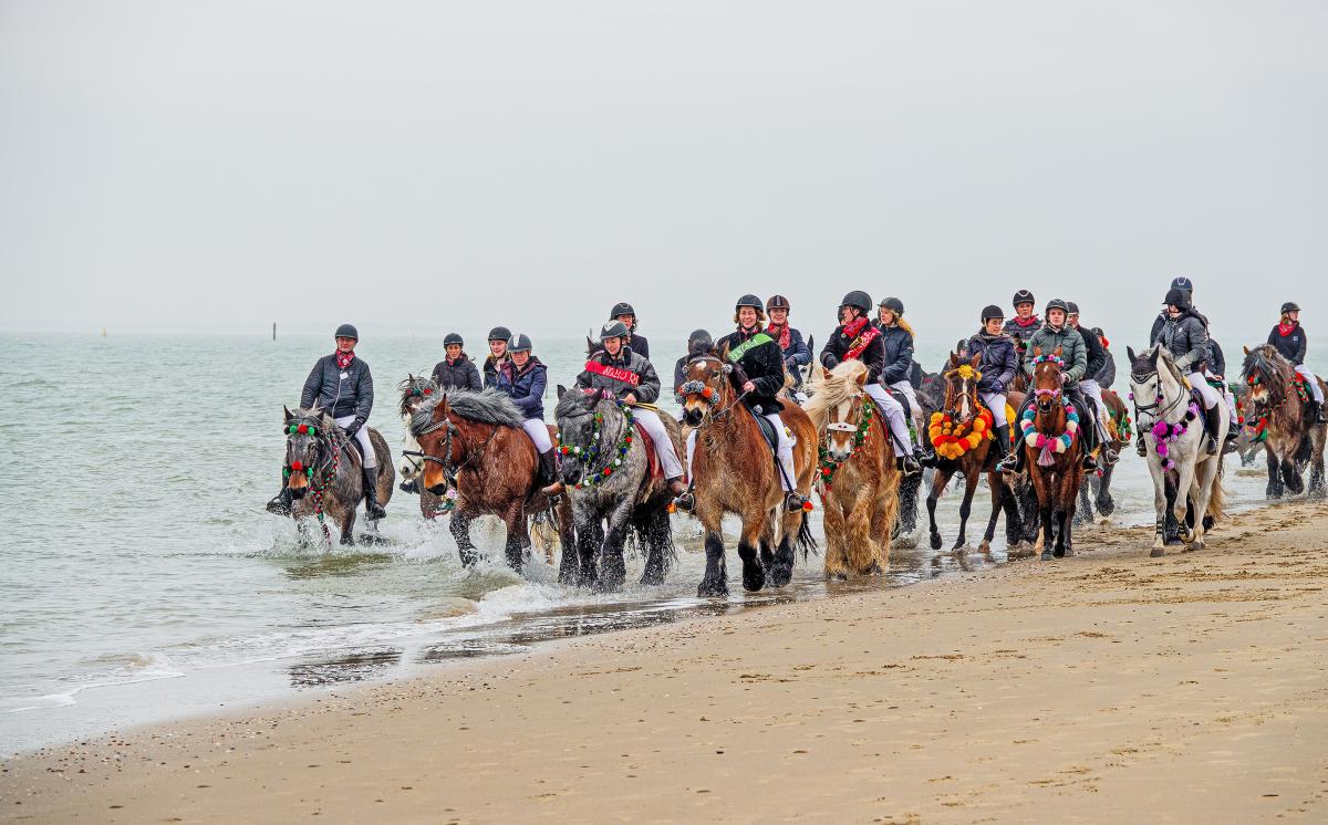 str%C3%A2o-in-renesse-0