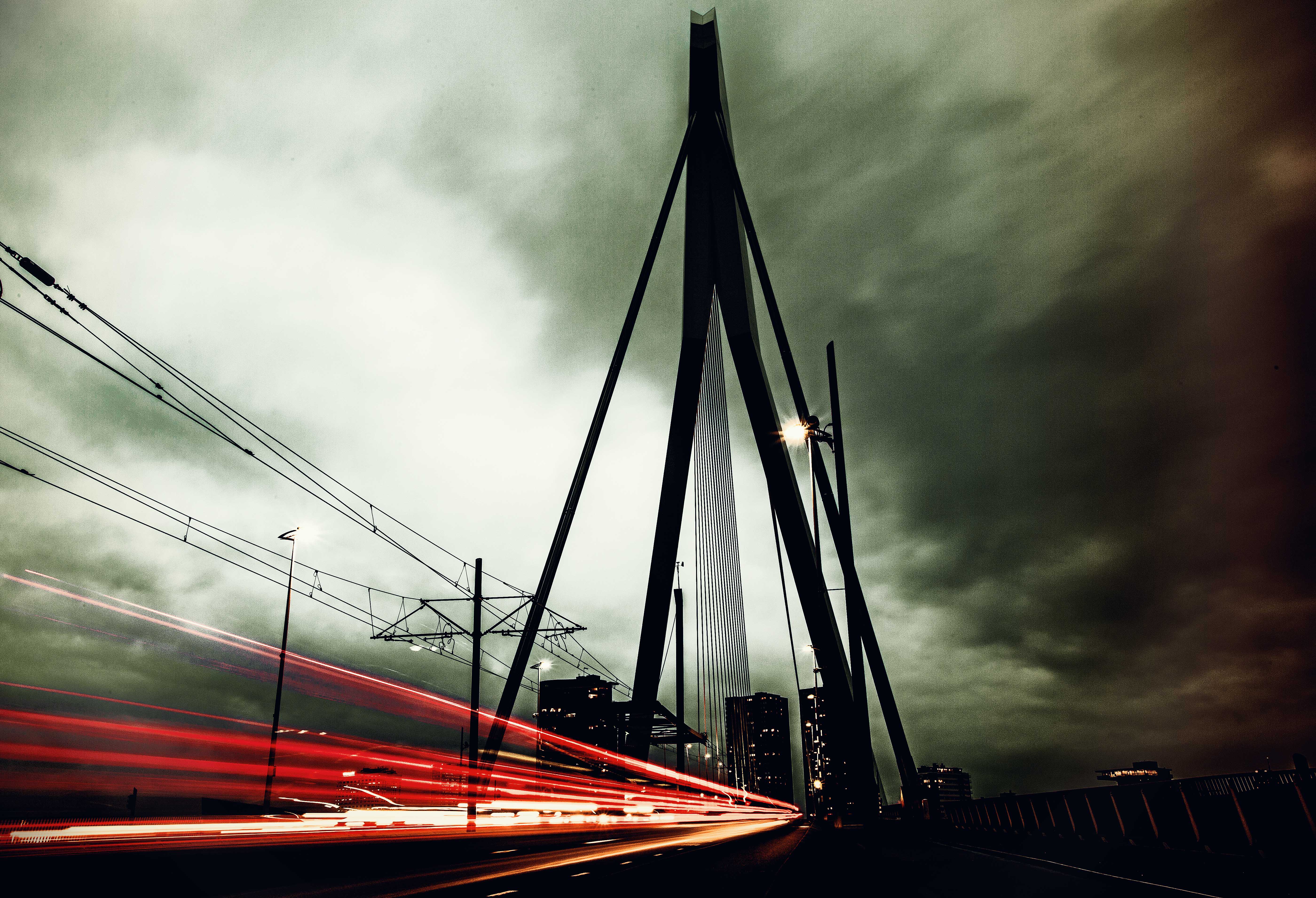 erasmus-into-the-dark