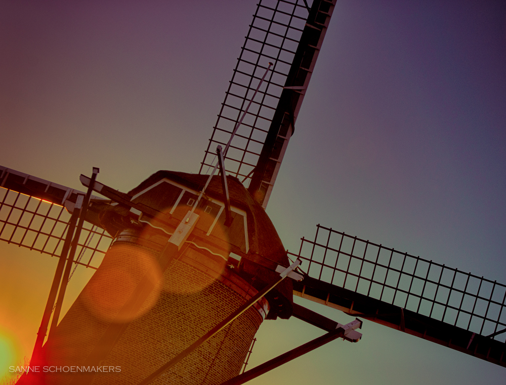 wippersmolen-maassluis