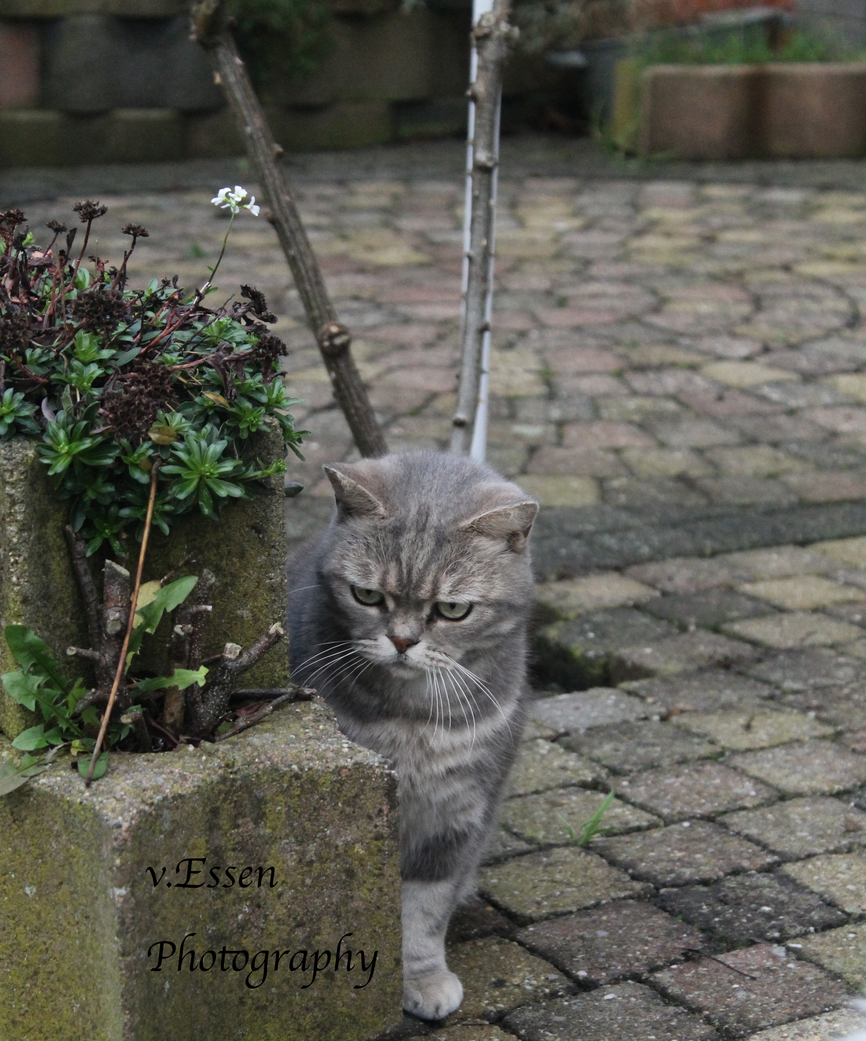 dj-looking-really-serious