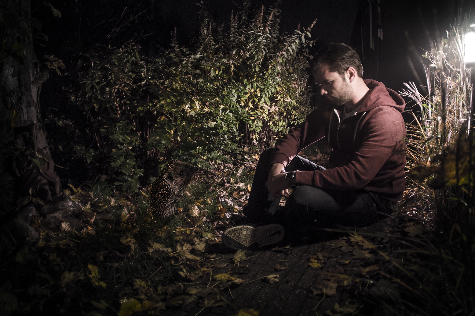 conversation-with-a-hedgehog