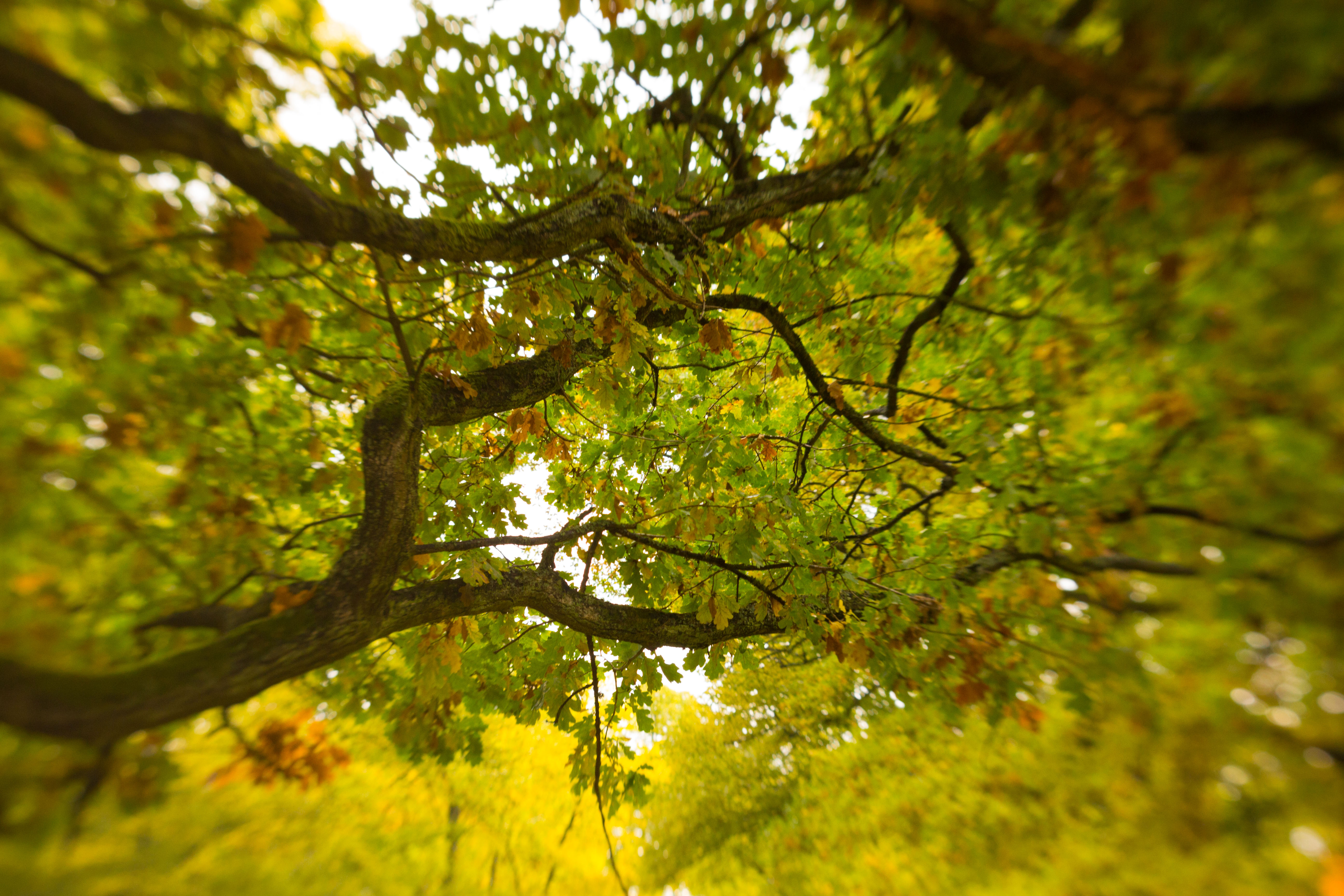 hagaparken-stockholm