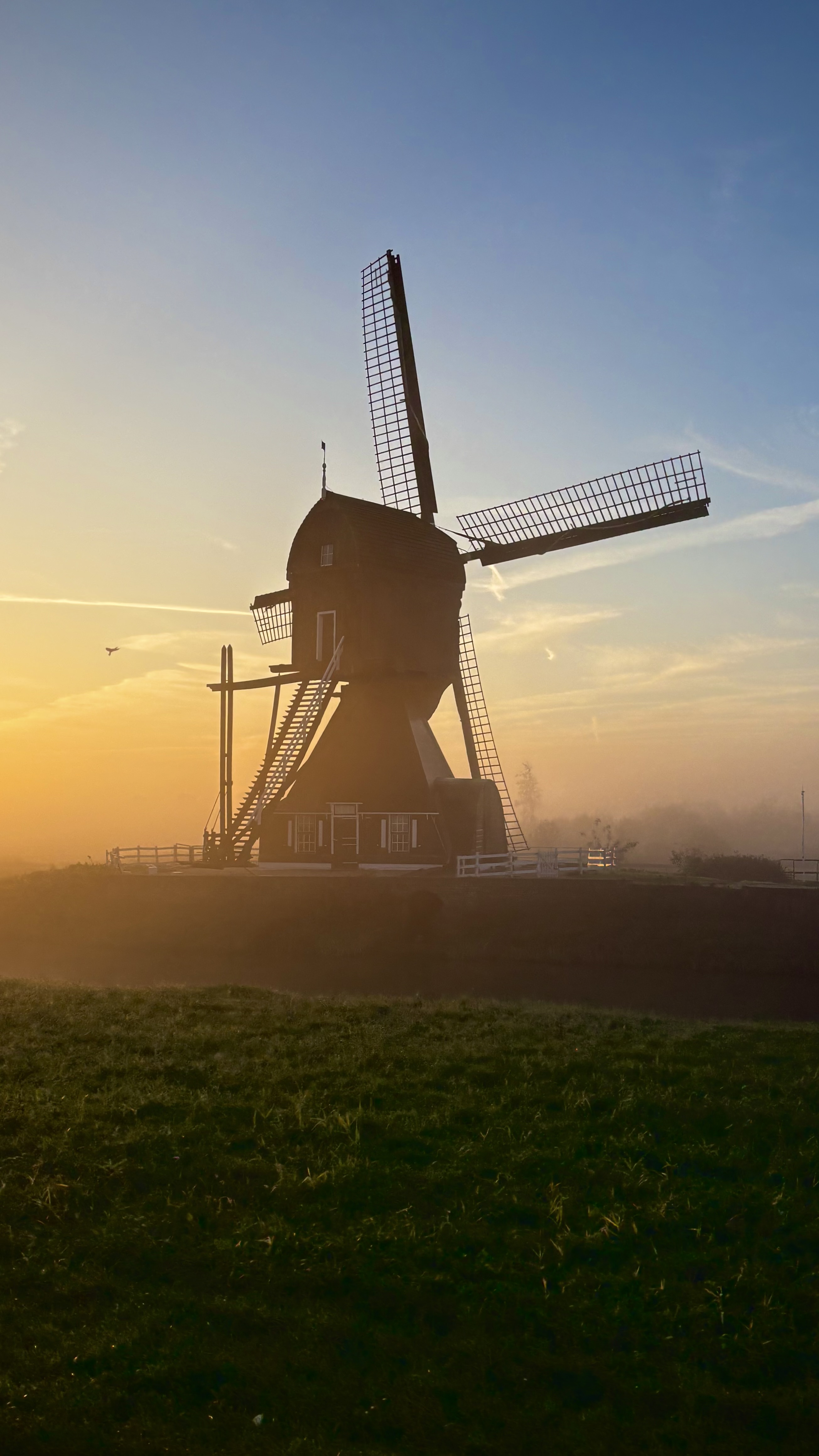 molen-langs-a15-thv-vuren