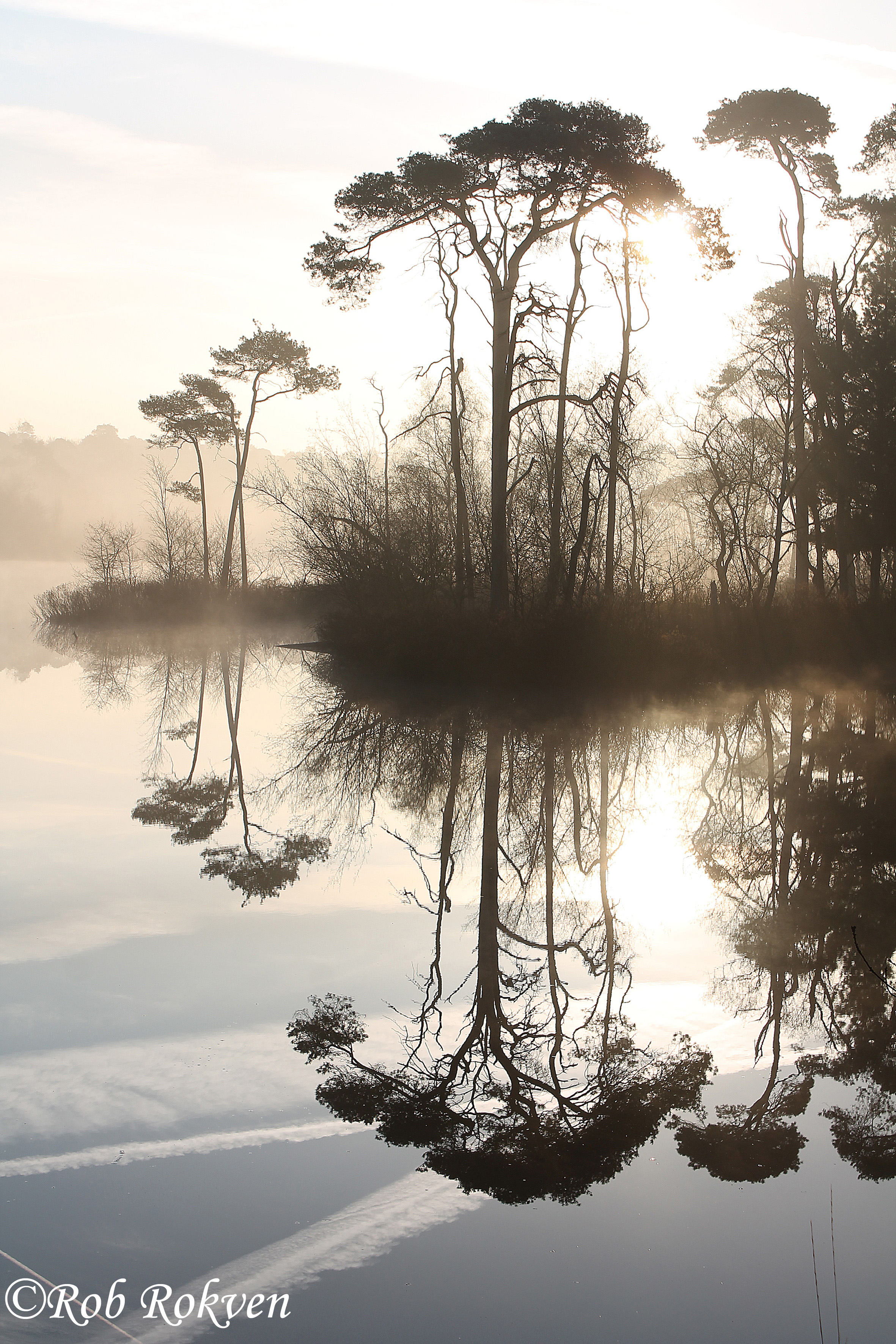 low-light-met-effect