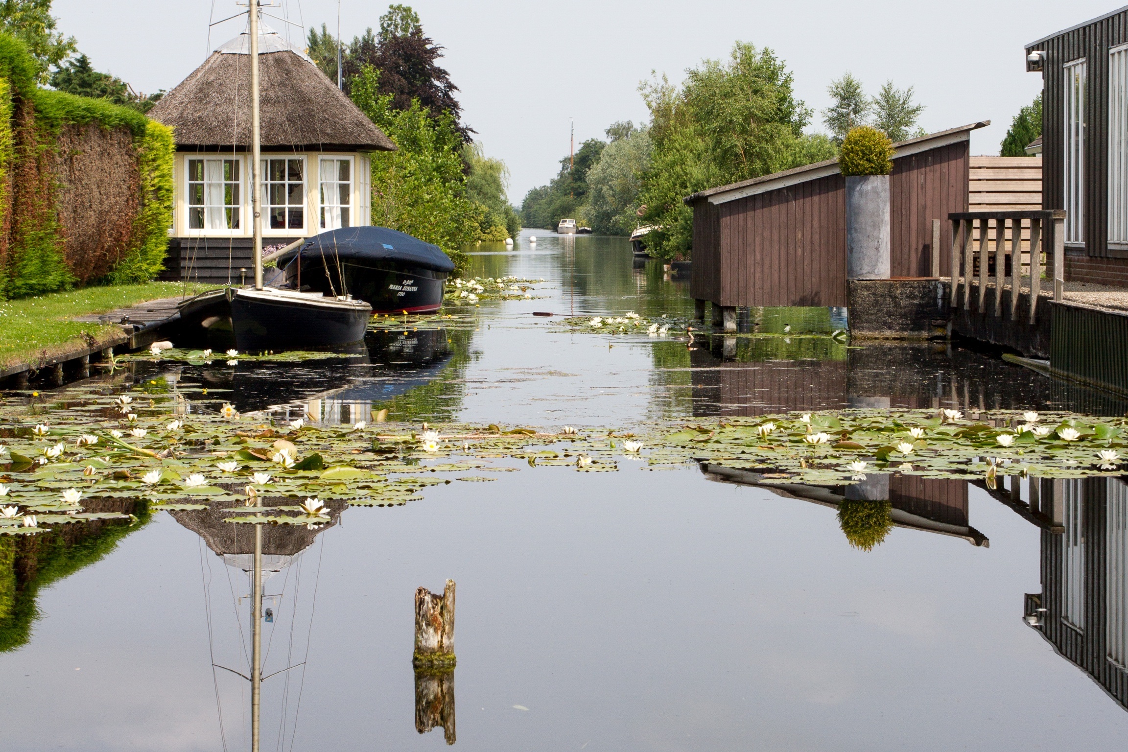 vinkenveense-plassen