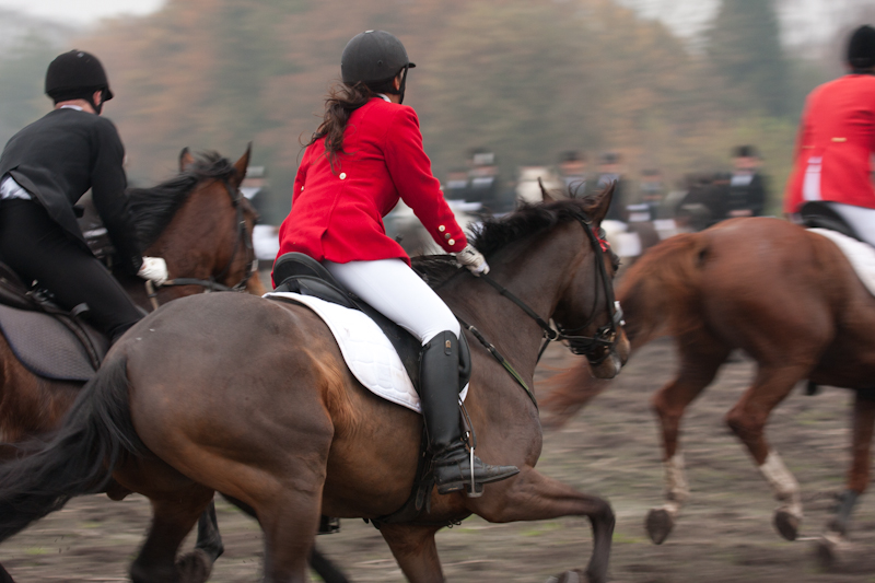 paardensport-spierkracht