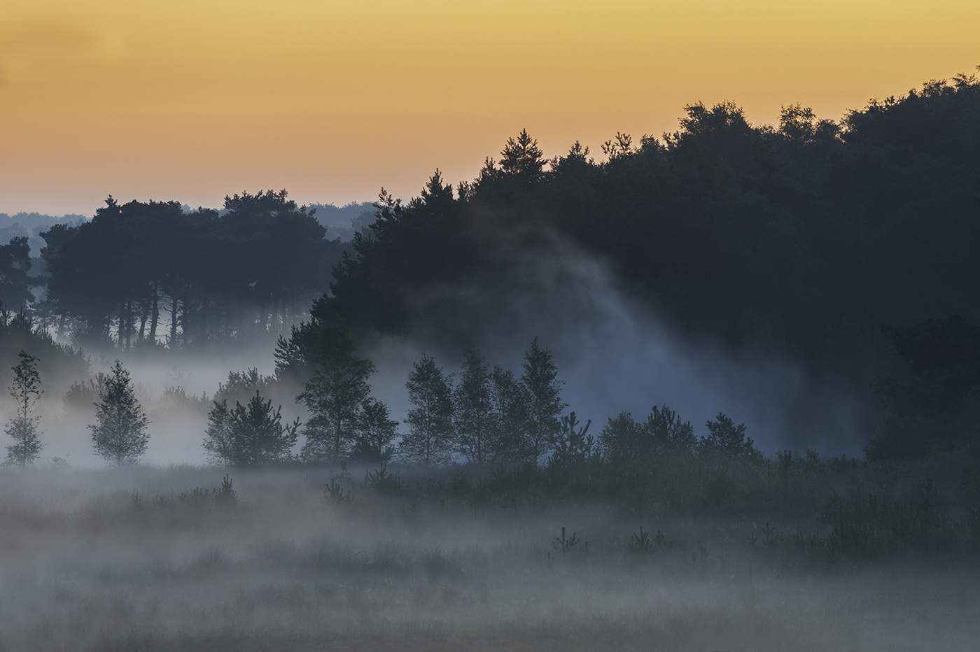 mist-boven-de-heide-voor-zonsopkomst