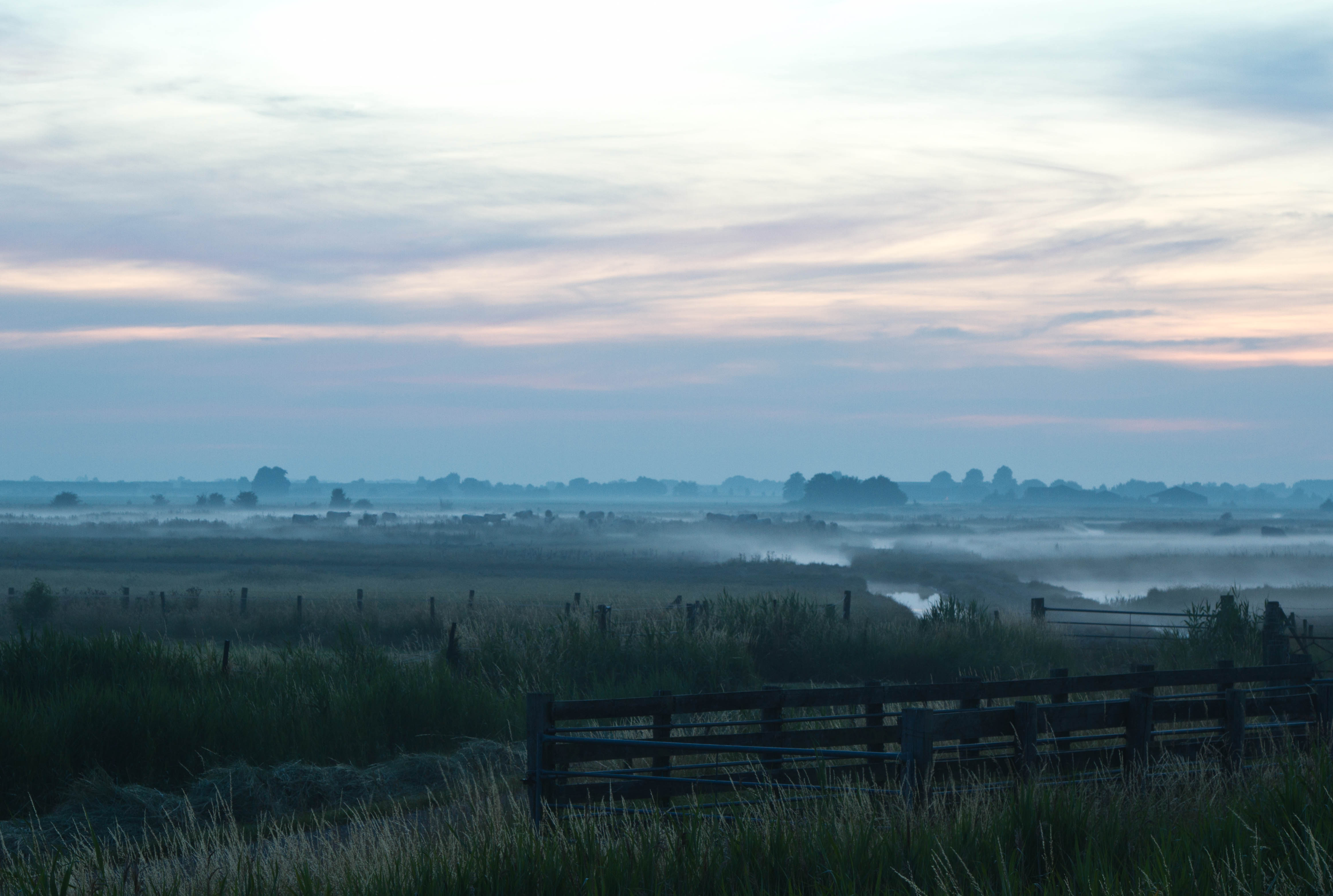 opkomende-mist-in-kapelse-moer-zeeland