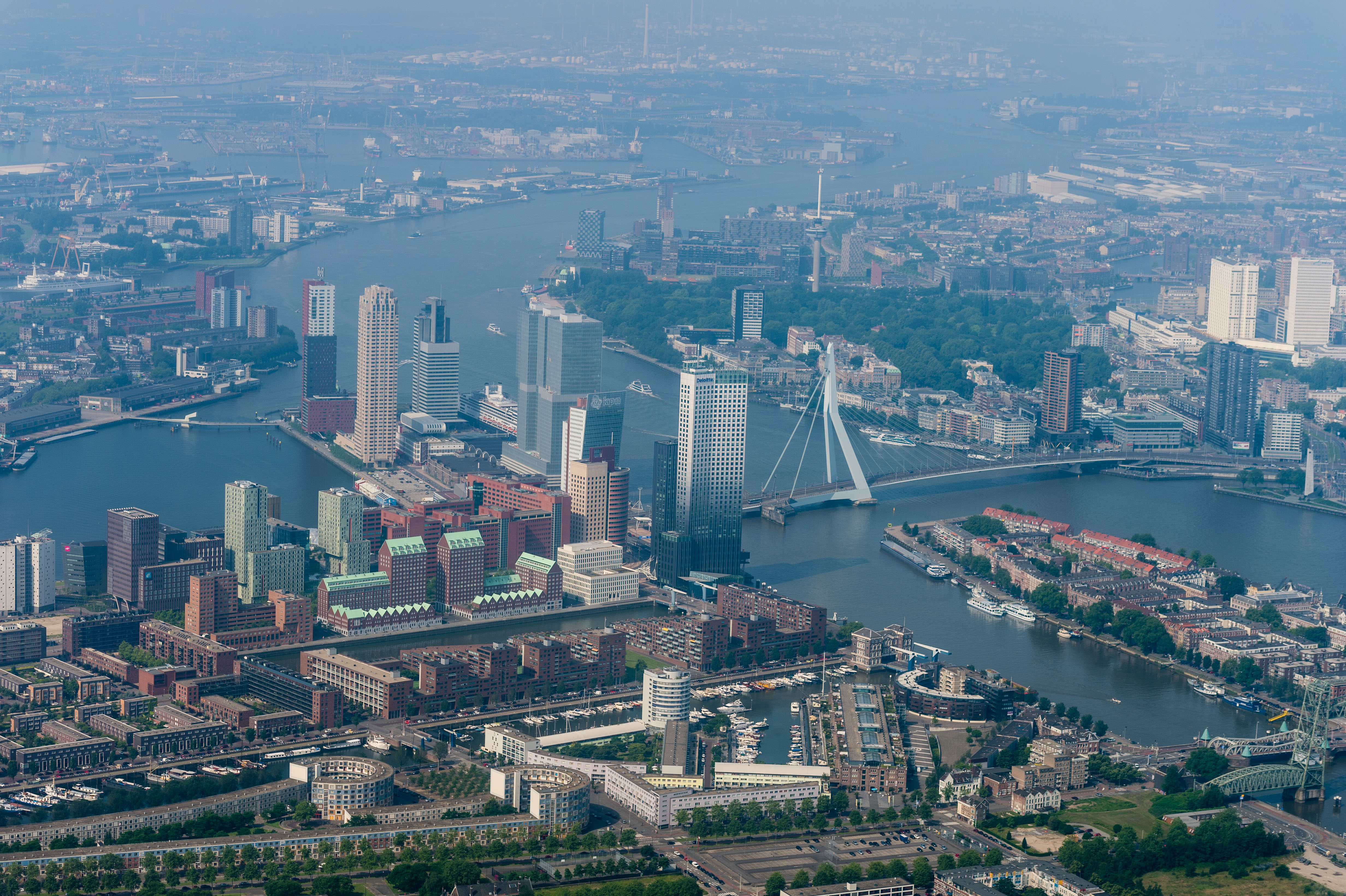rotterdam-zuid