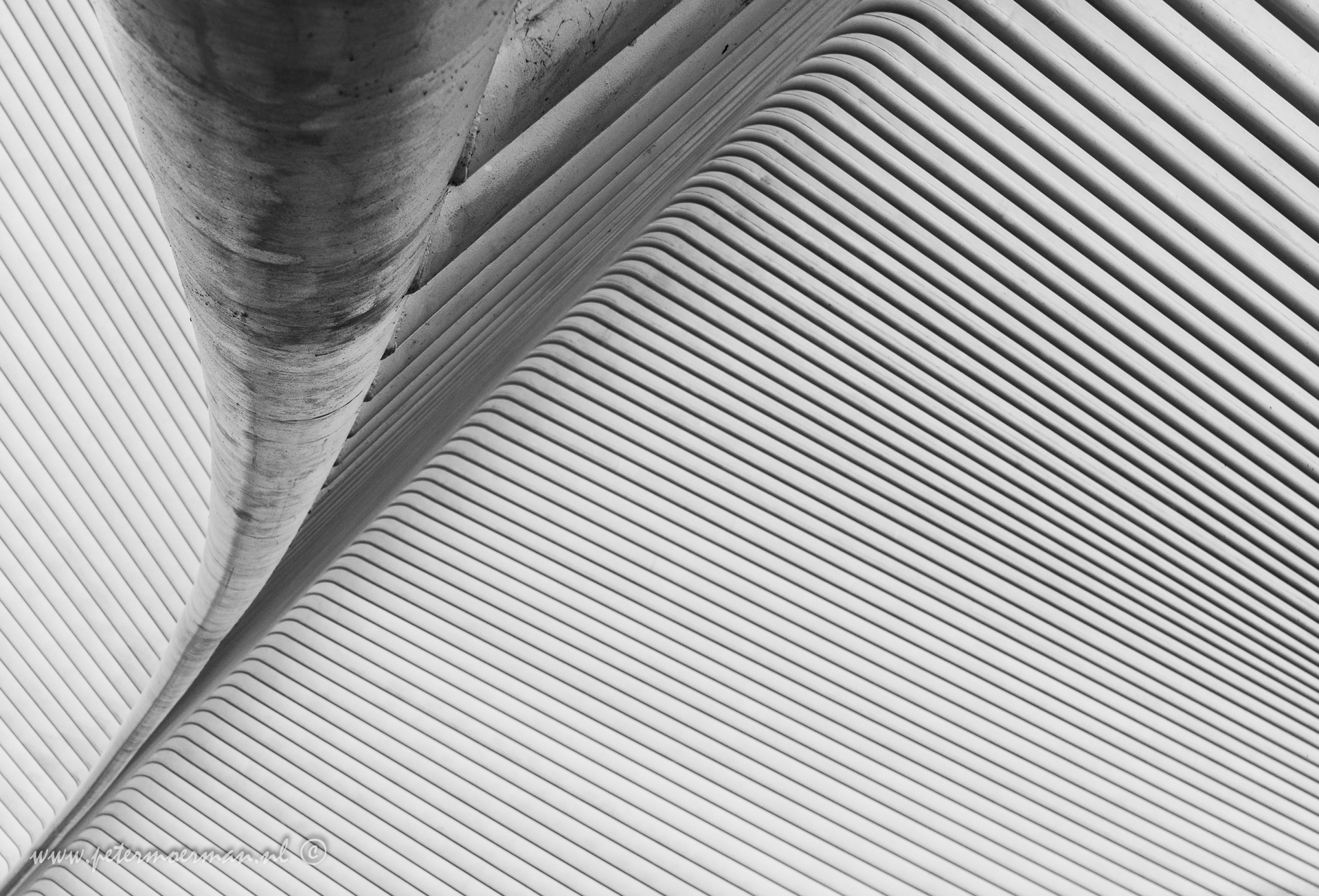 luik-guillemins-3