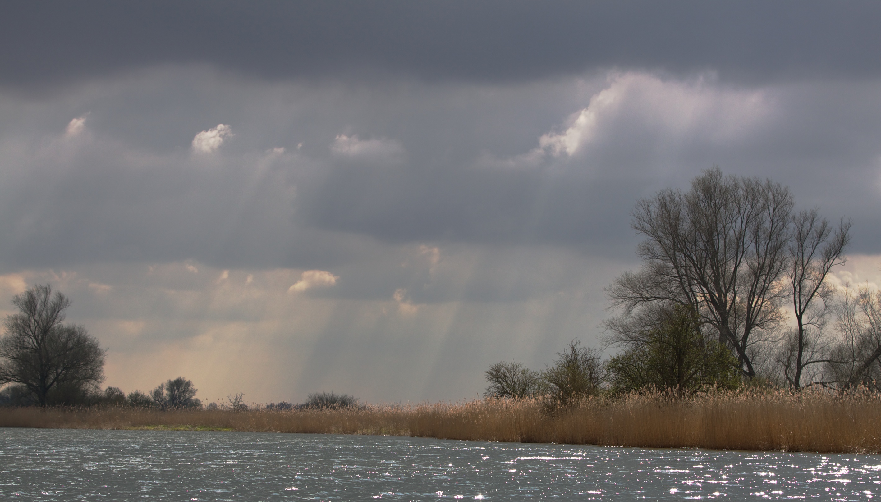 biesbosch-5