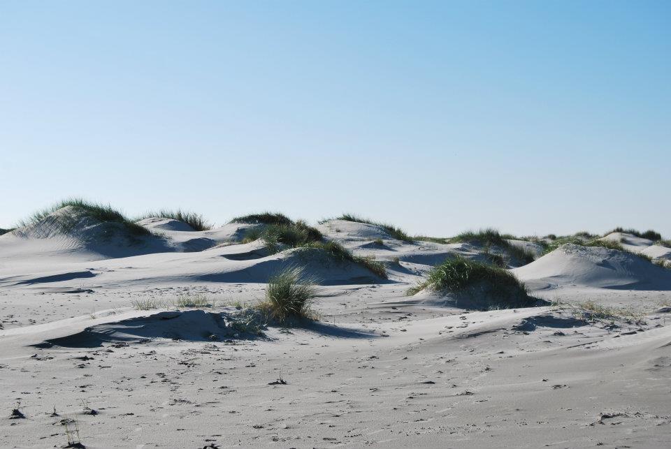 duinen-3