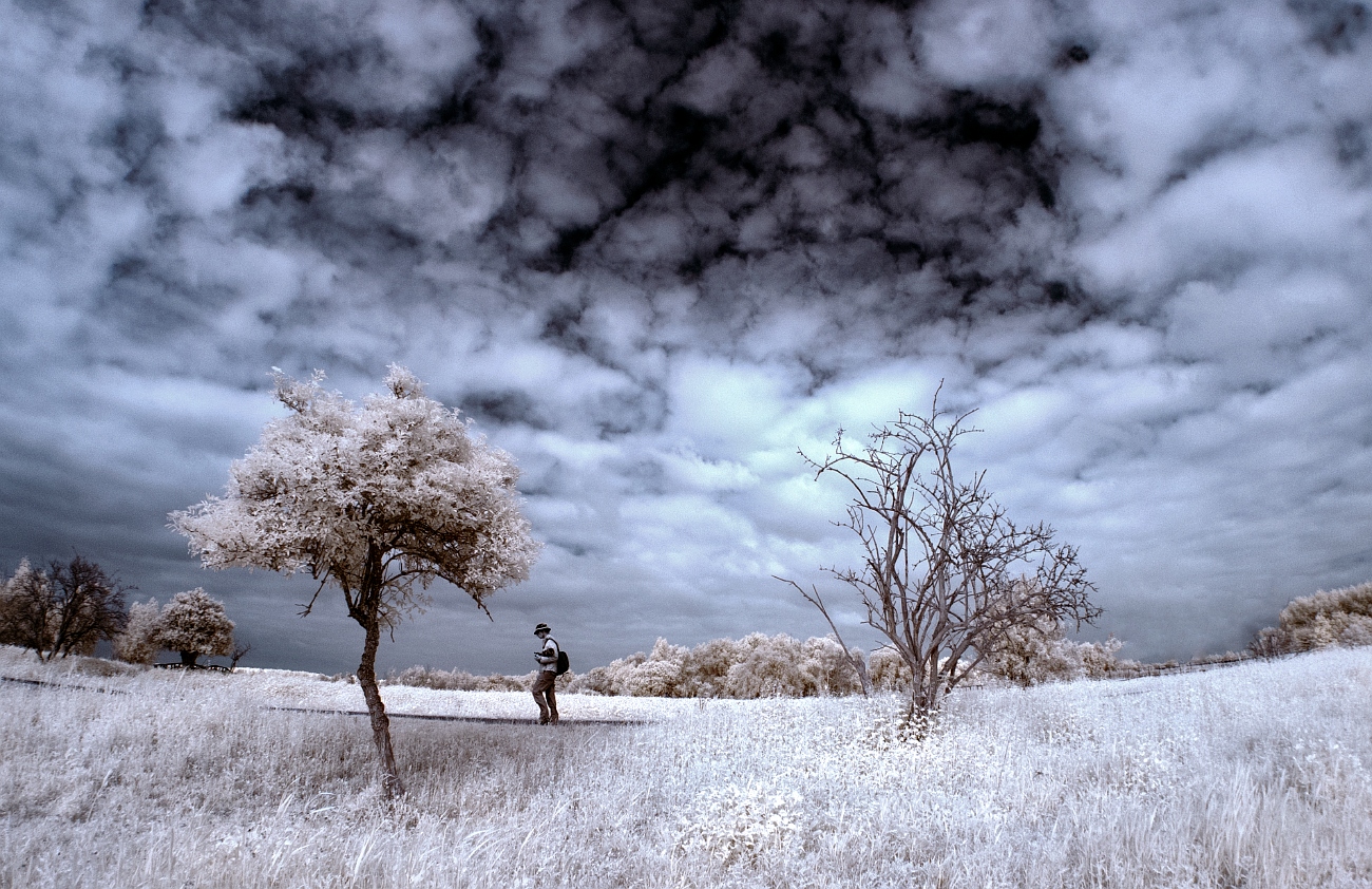 in-het-dal-van-de-ovp-infrarood