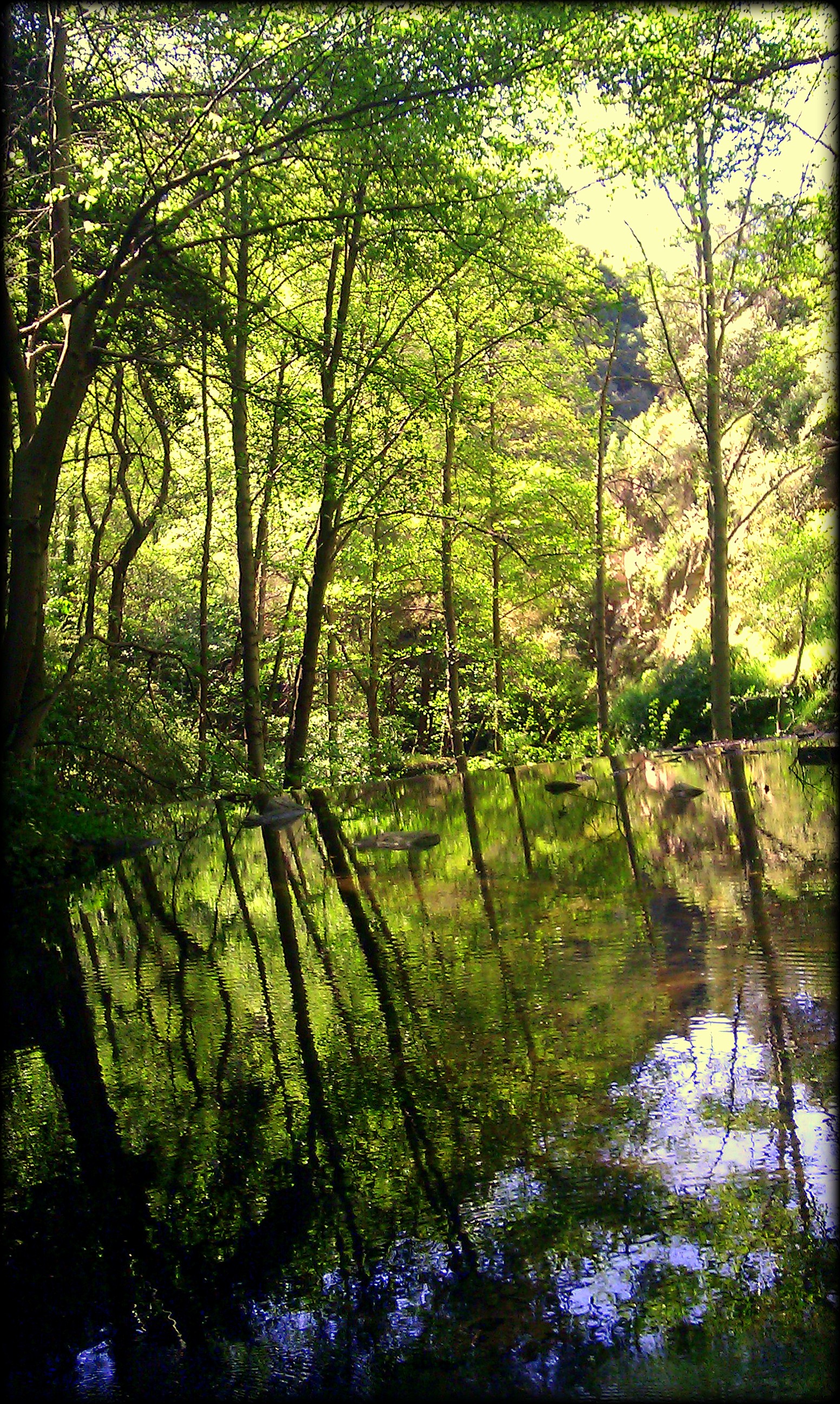 on-top-of-the-waterfall-angeles-forest-california