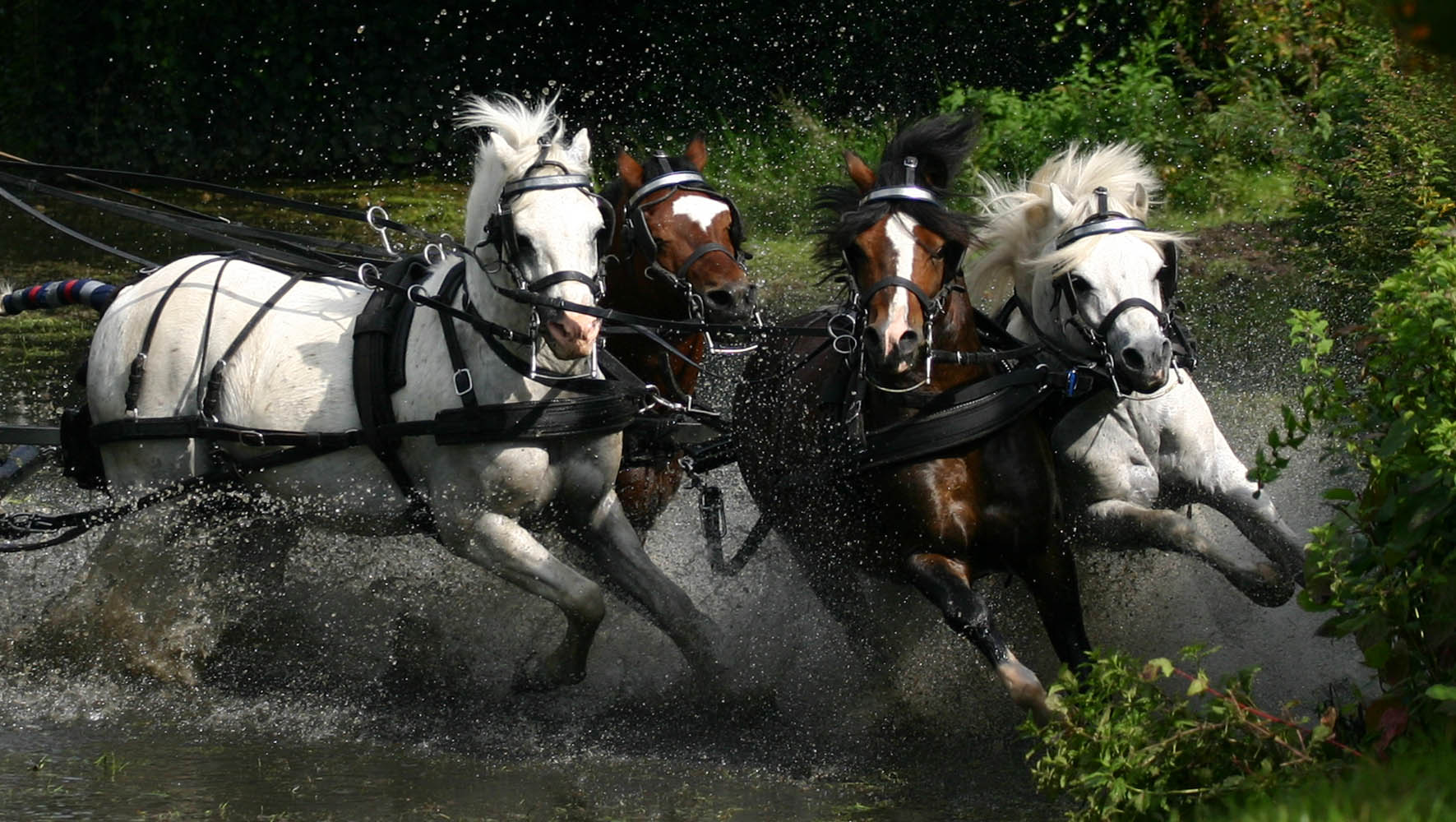 menwedstrijd-zutendaal-0