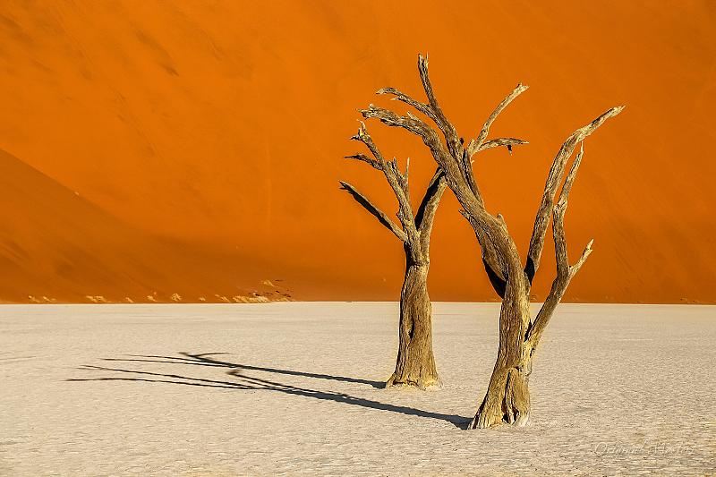symmetrie-deadvlei-namib-woestijn-namibie
