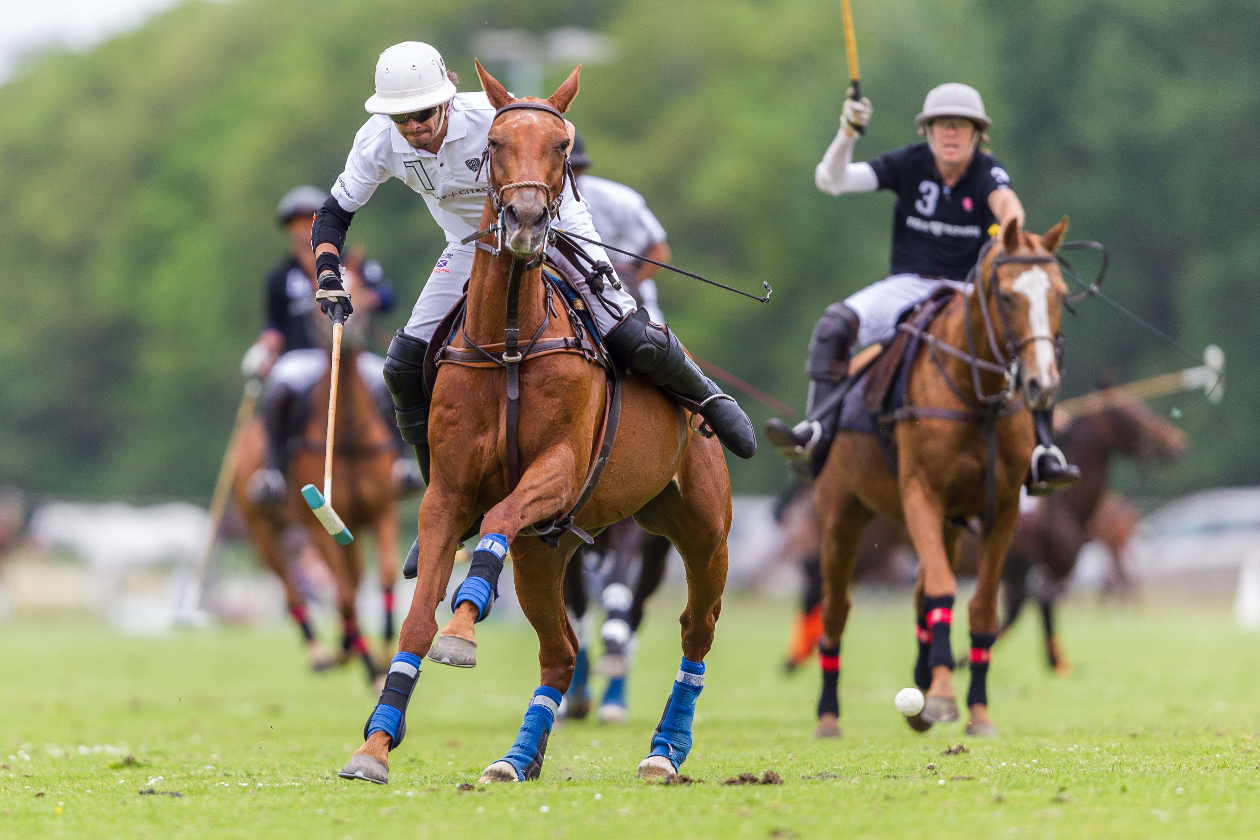 polo-op-paarden-duindigt