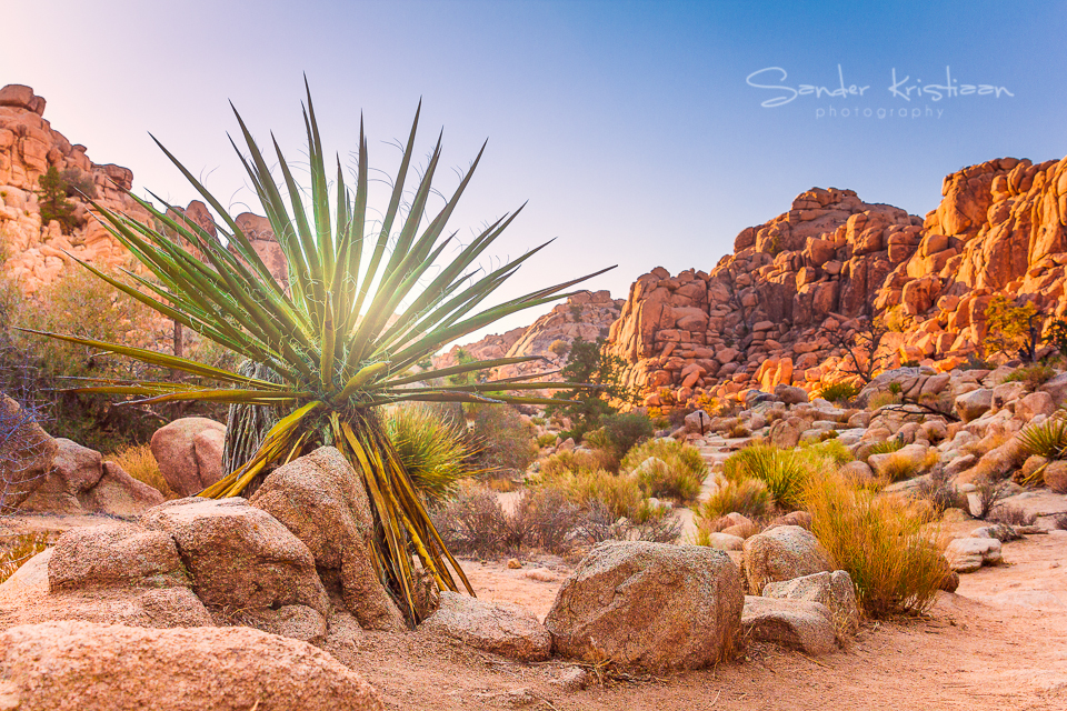 hidden-valley-joshua-tree-national-park