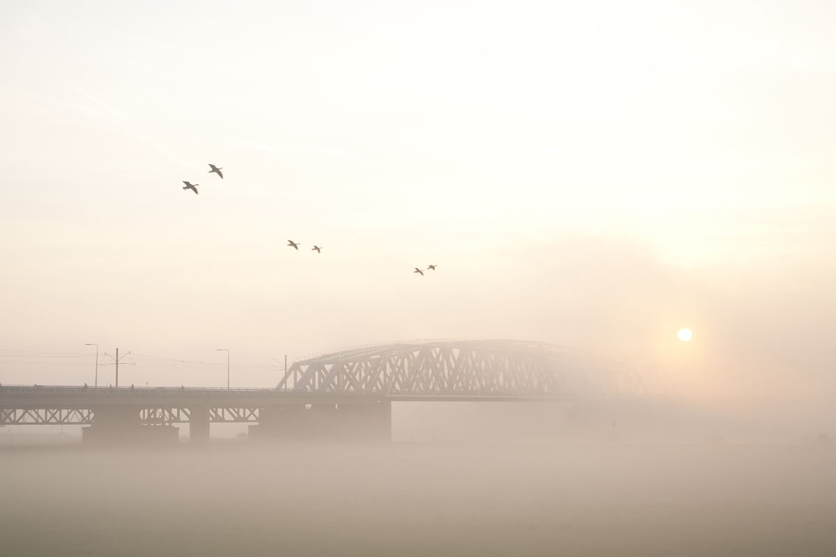 brug-mist