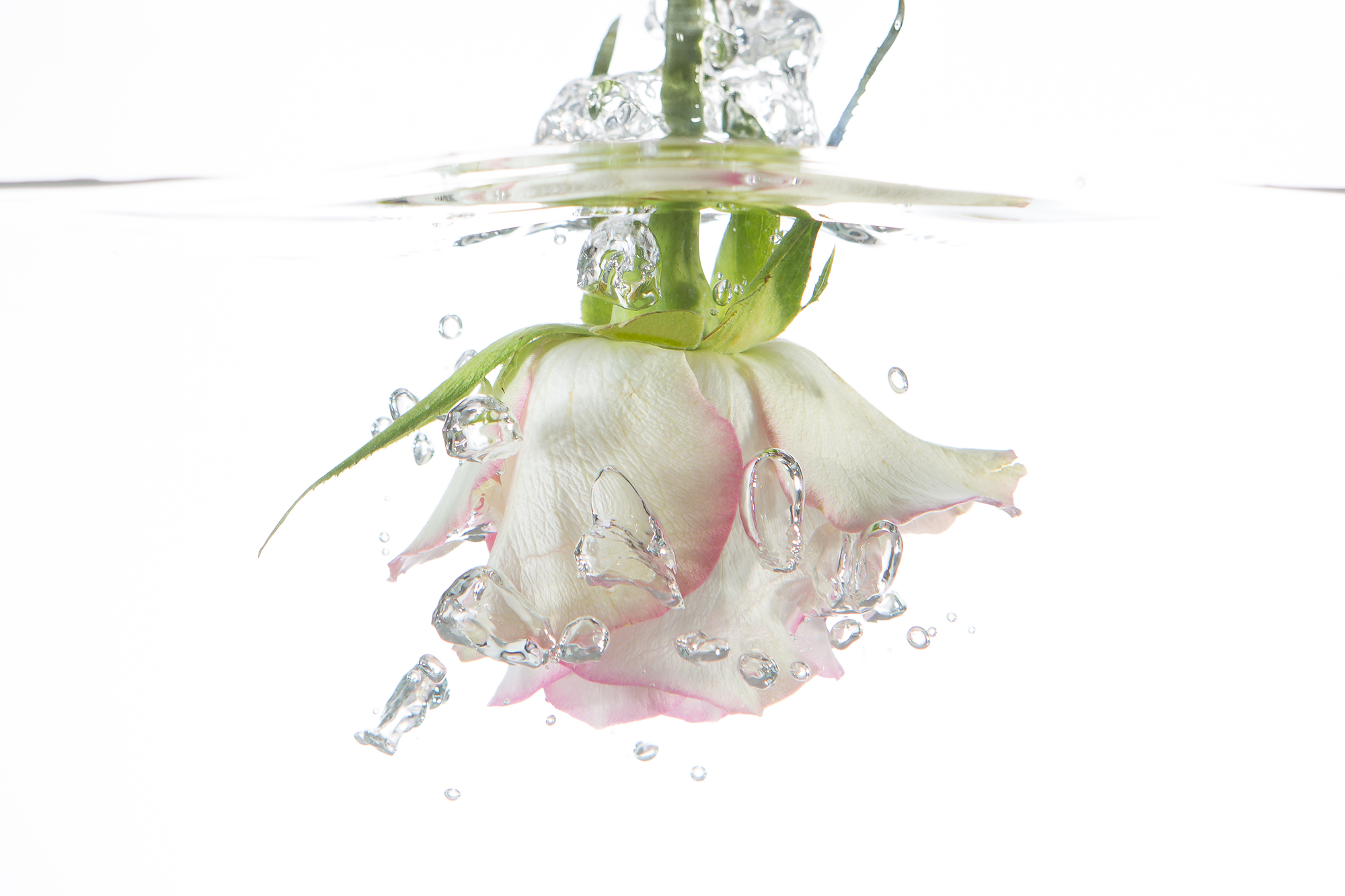 underwater-photography