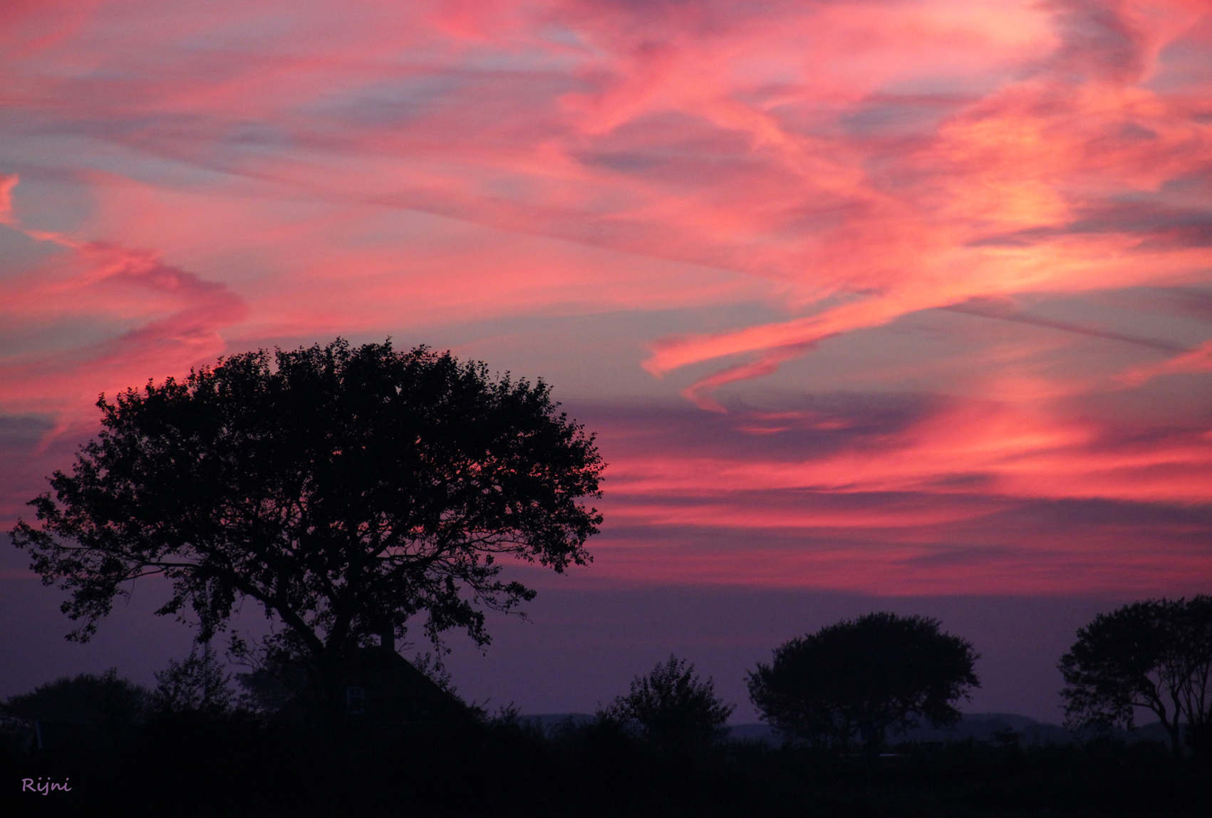 puur-natuur-op-walcheren