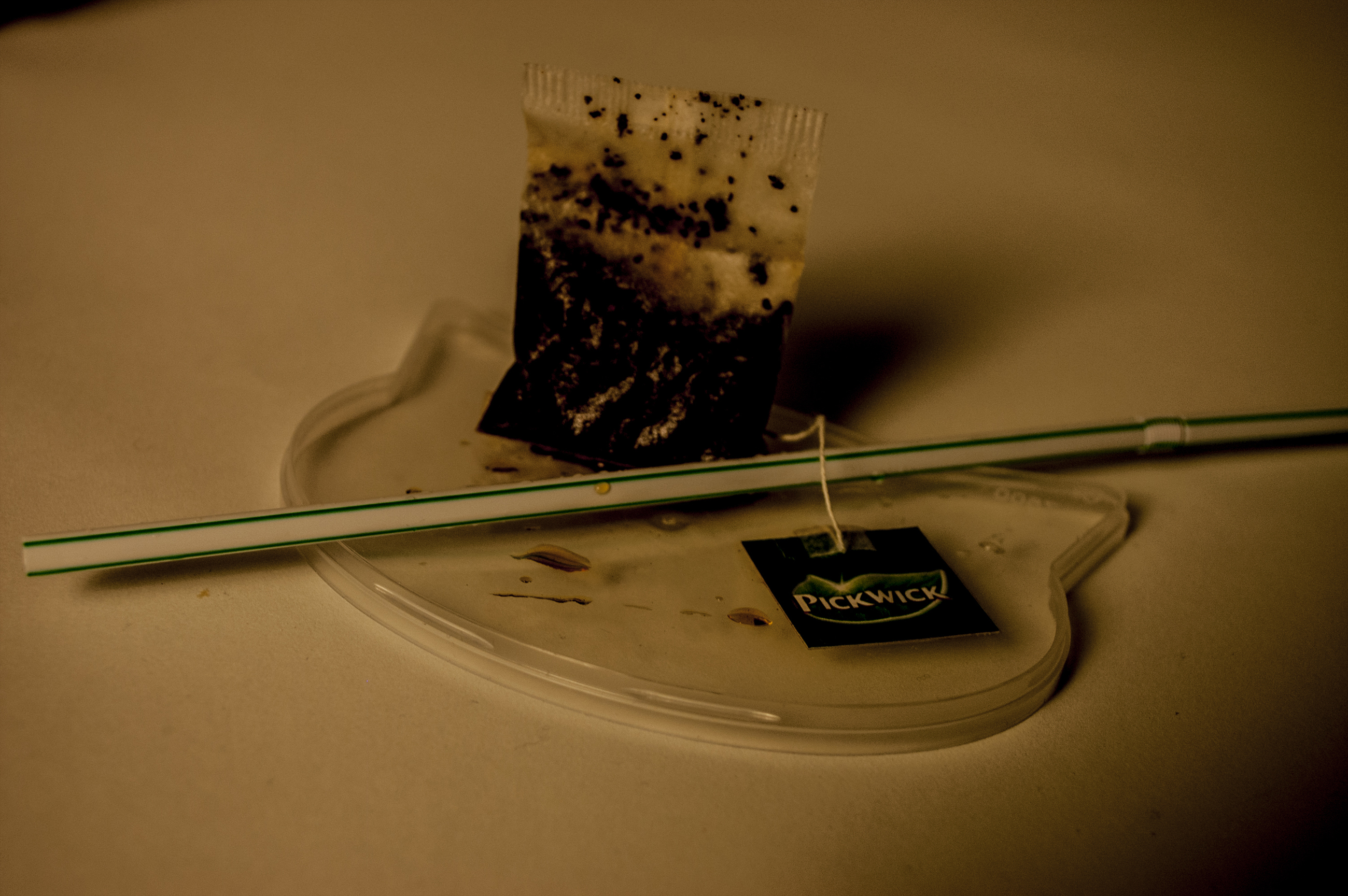 tea-bag-waiting-for-her-cat