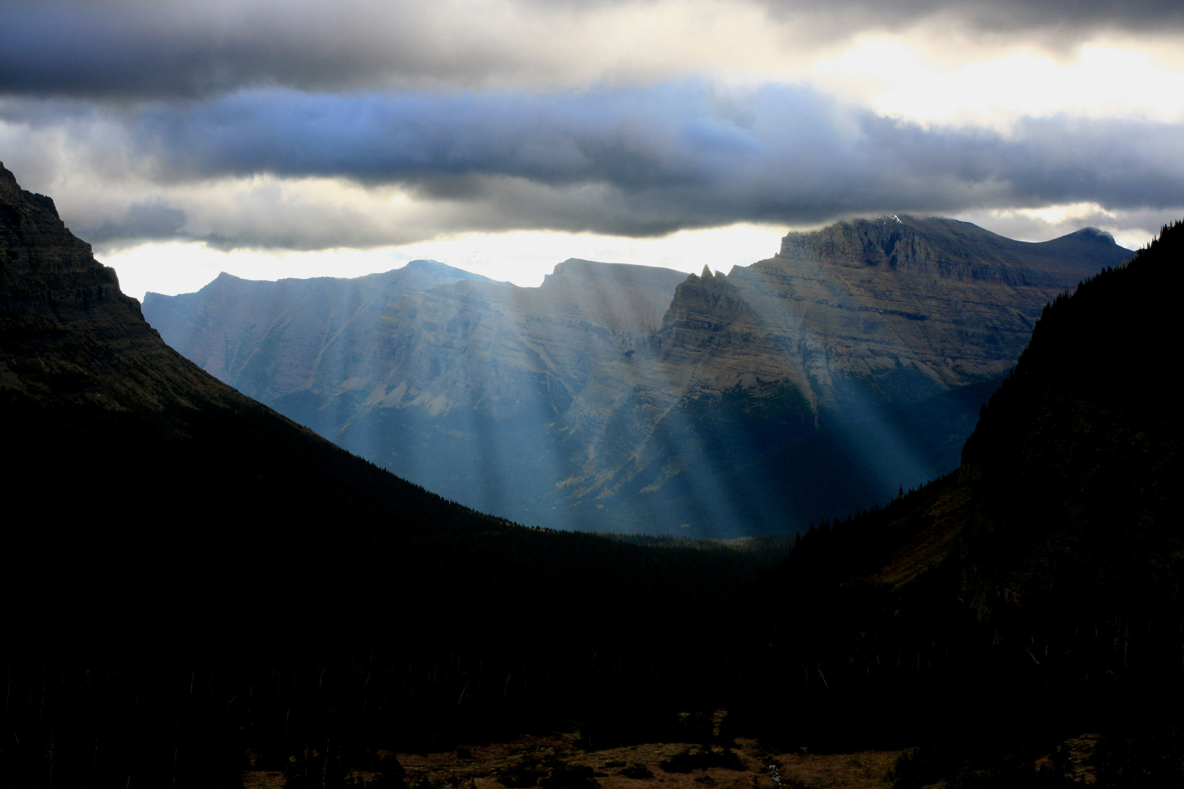 logan-pass