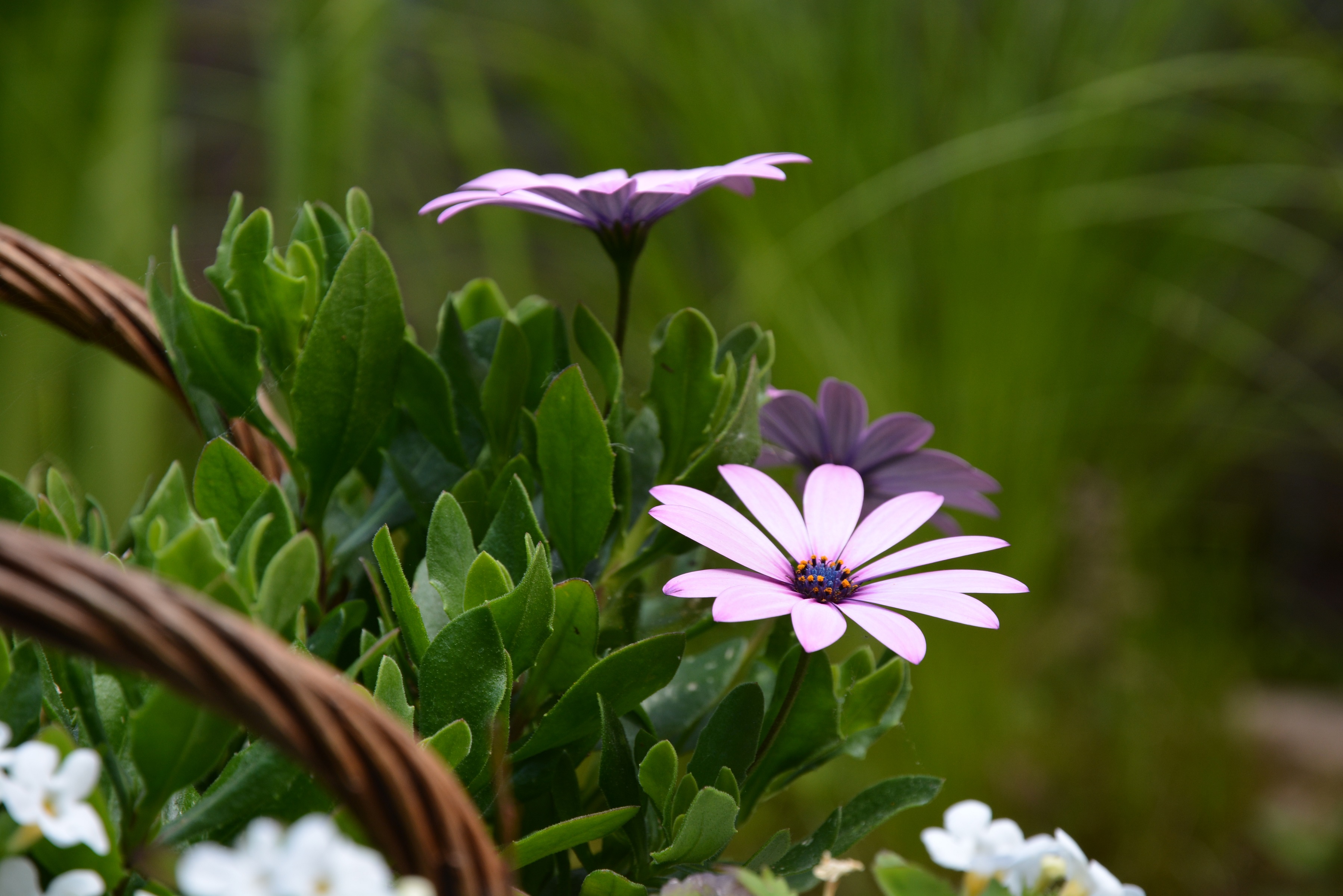 eindelijk-een-beetje-zomer