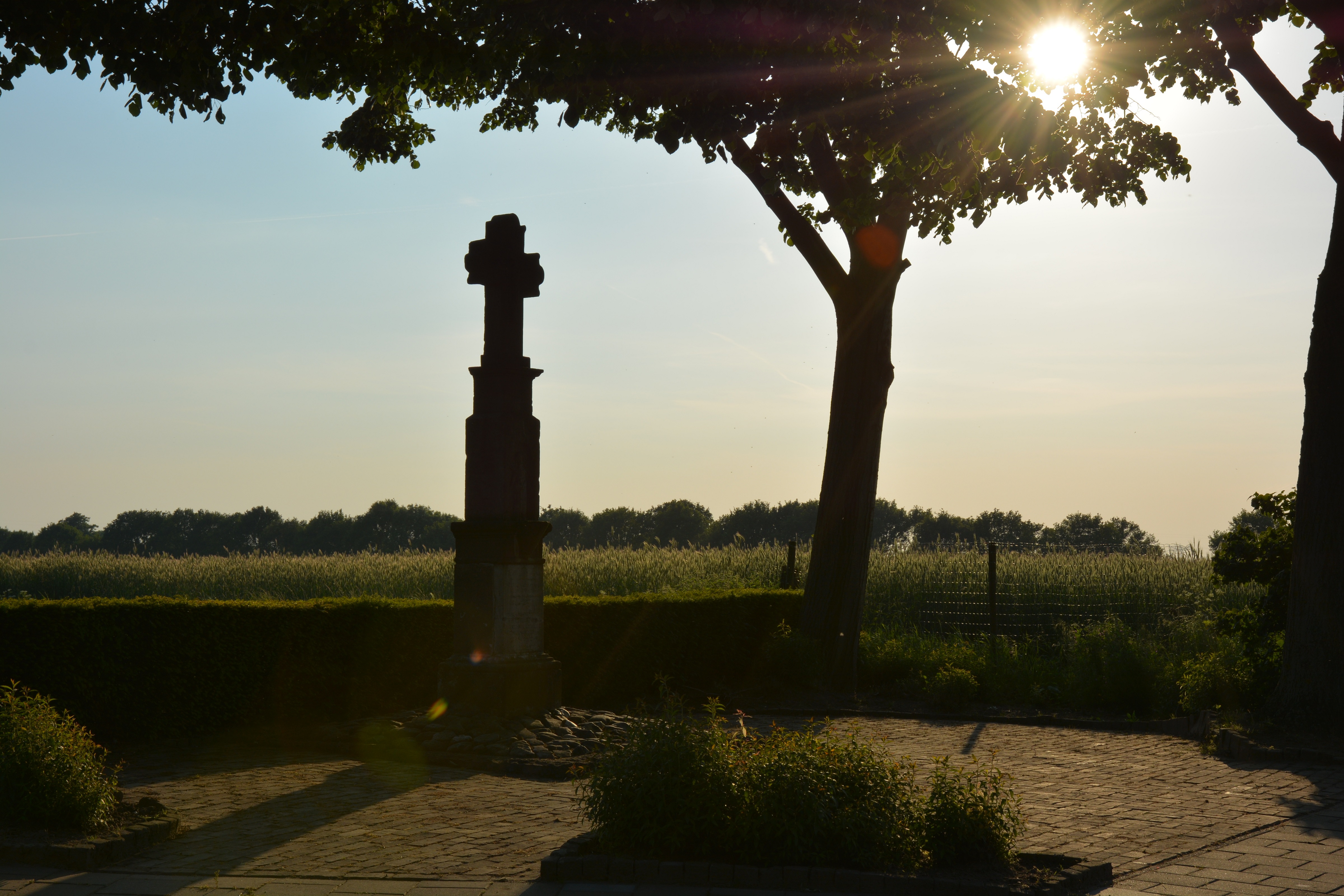 limburg-in-de-avondzon