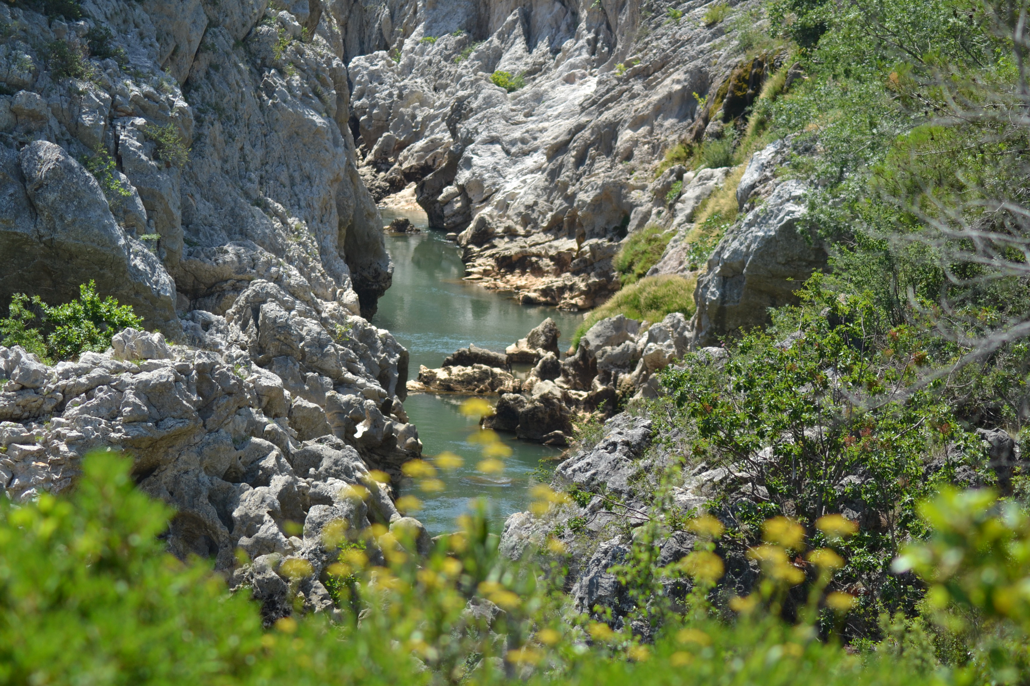 een-foto-bij-de-pont-du-diable-in-frankrijk