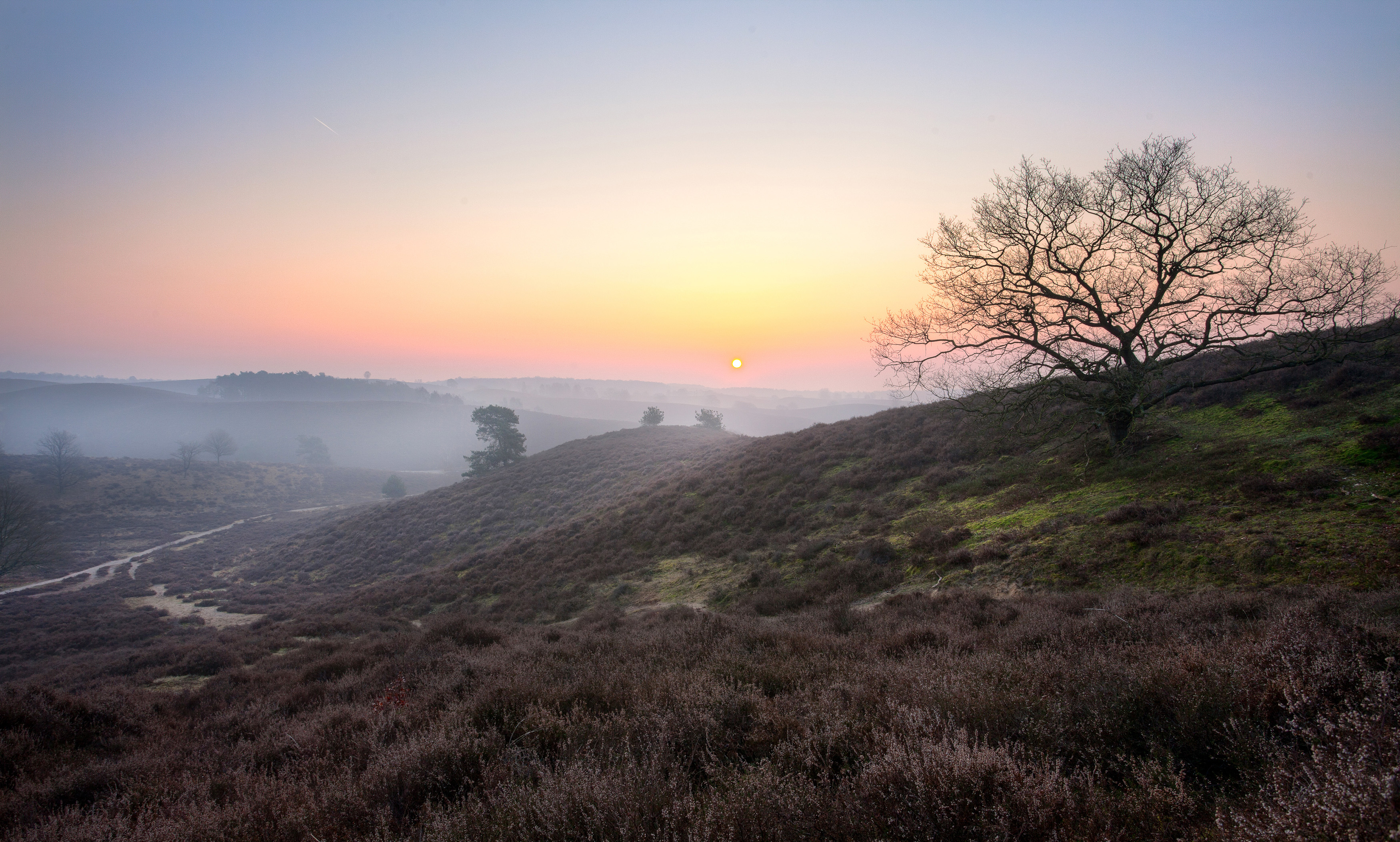 ochtend-gloren-op-de-posbank