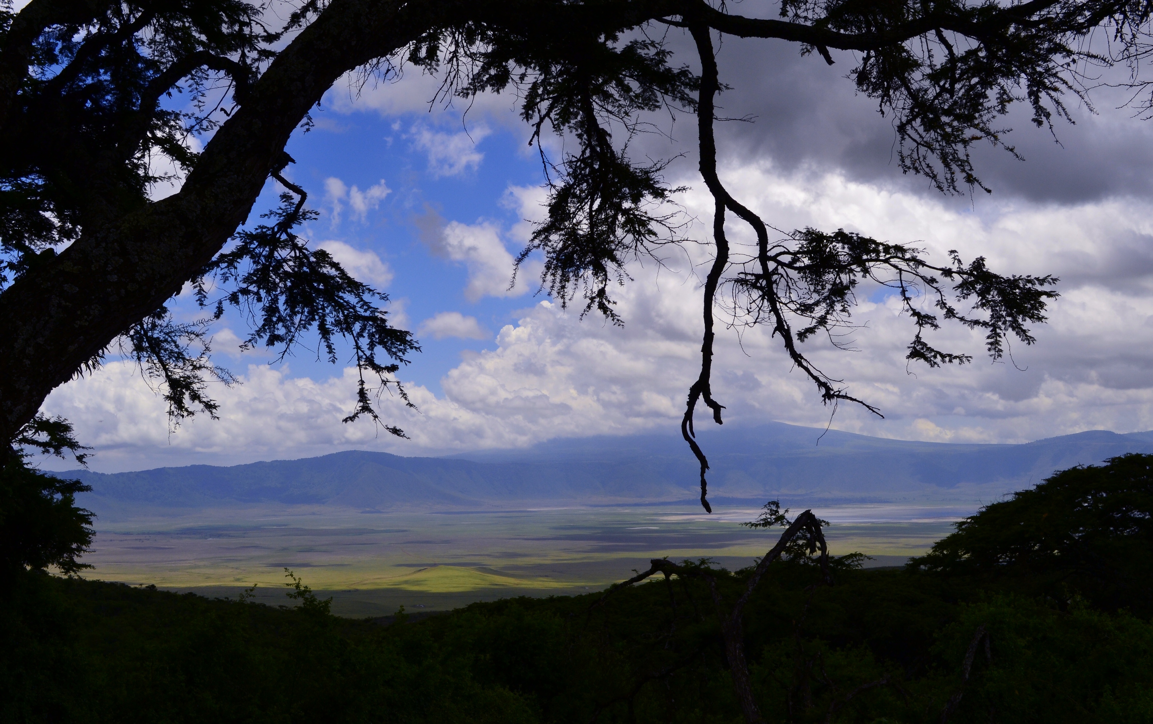 ngorongoro-1