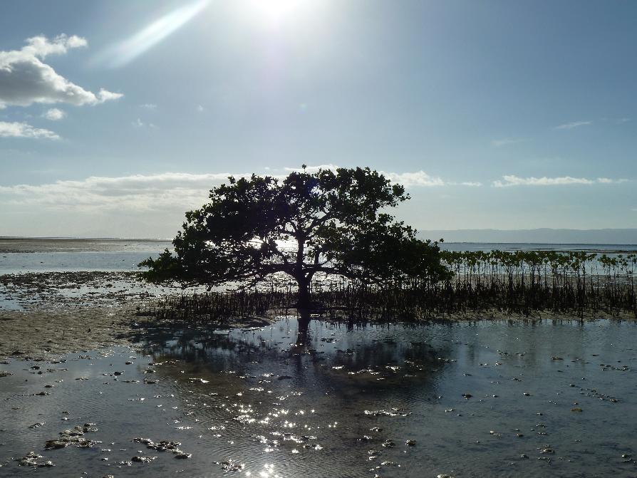 virgin-island-filippijnen