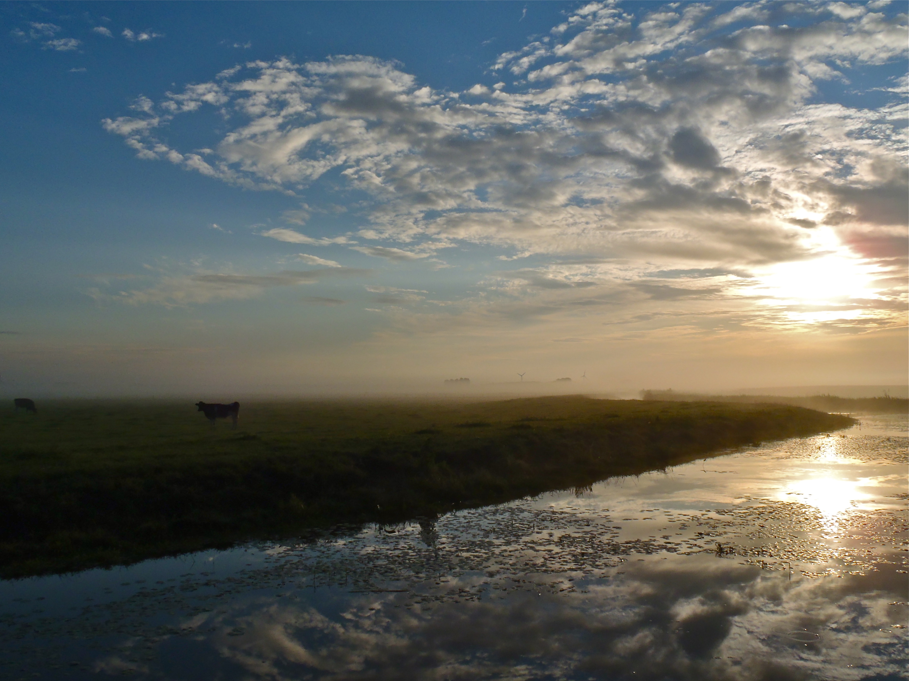 ochtend-in-de-polder