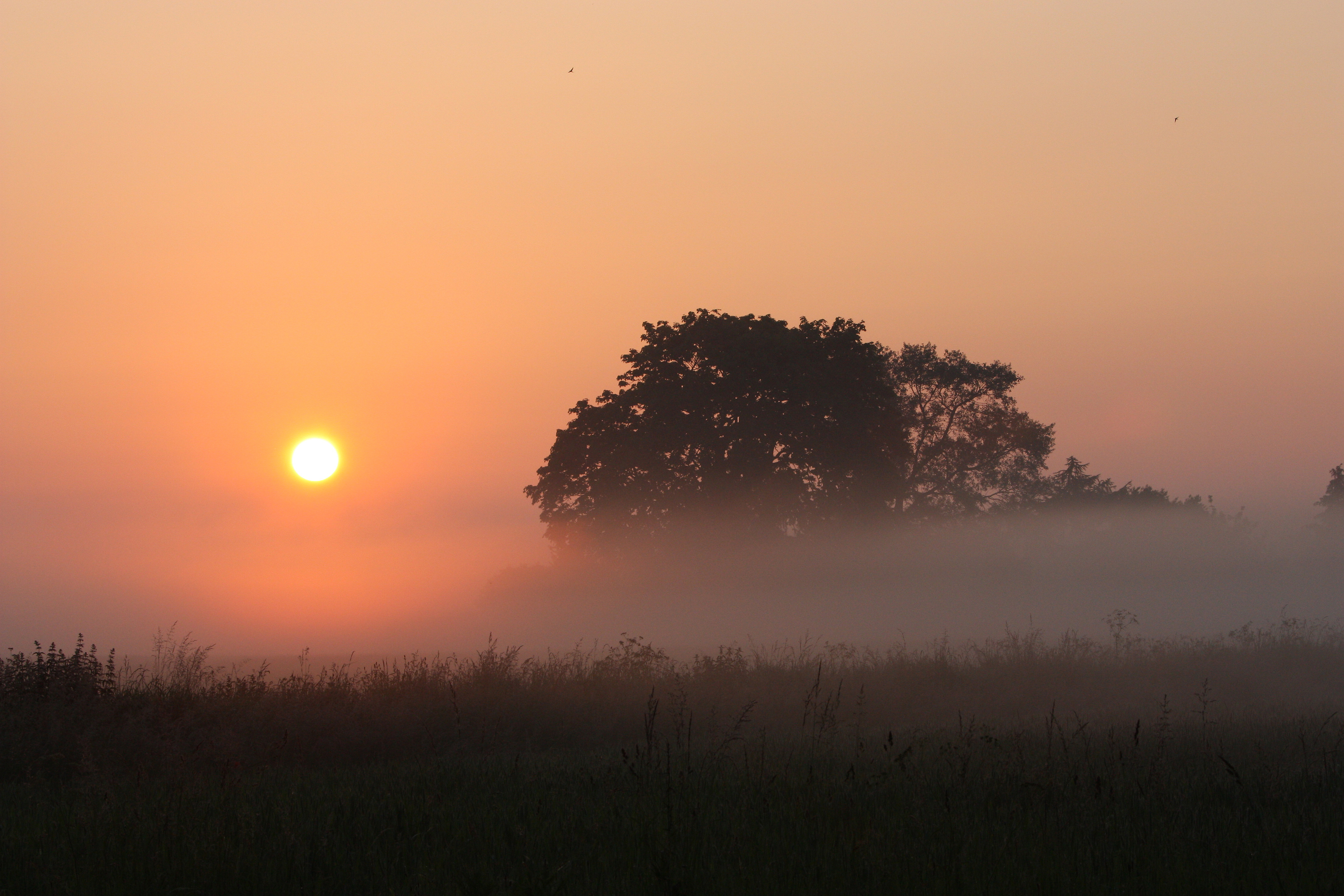 sonsopgang-landschapsfoto-denemarken