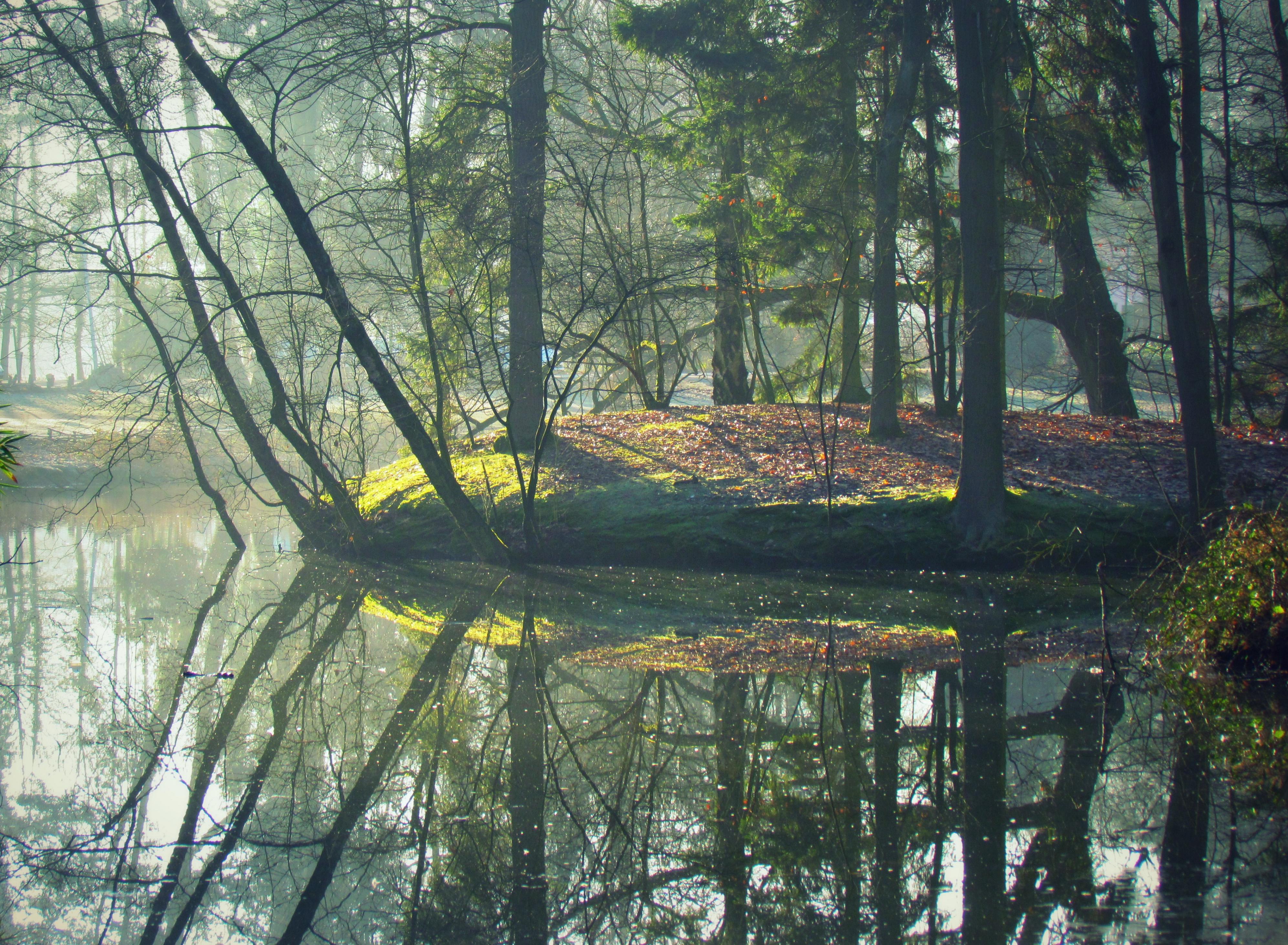 a-moment-to-reflect-on-the-beauty-of-nature