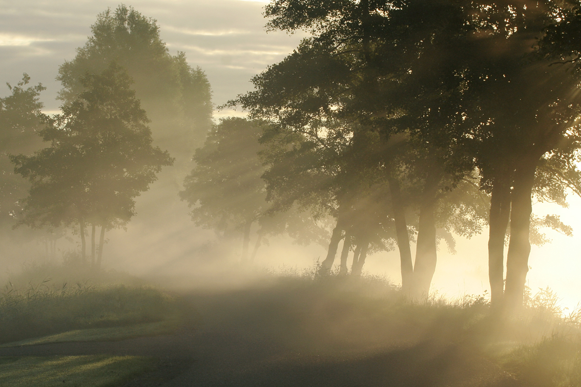 lemsterland-op-een-rustige-ochtend