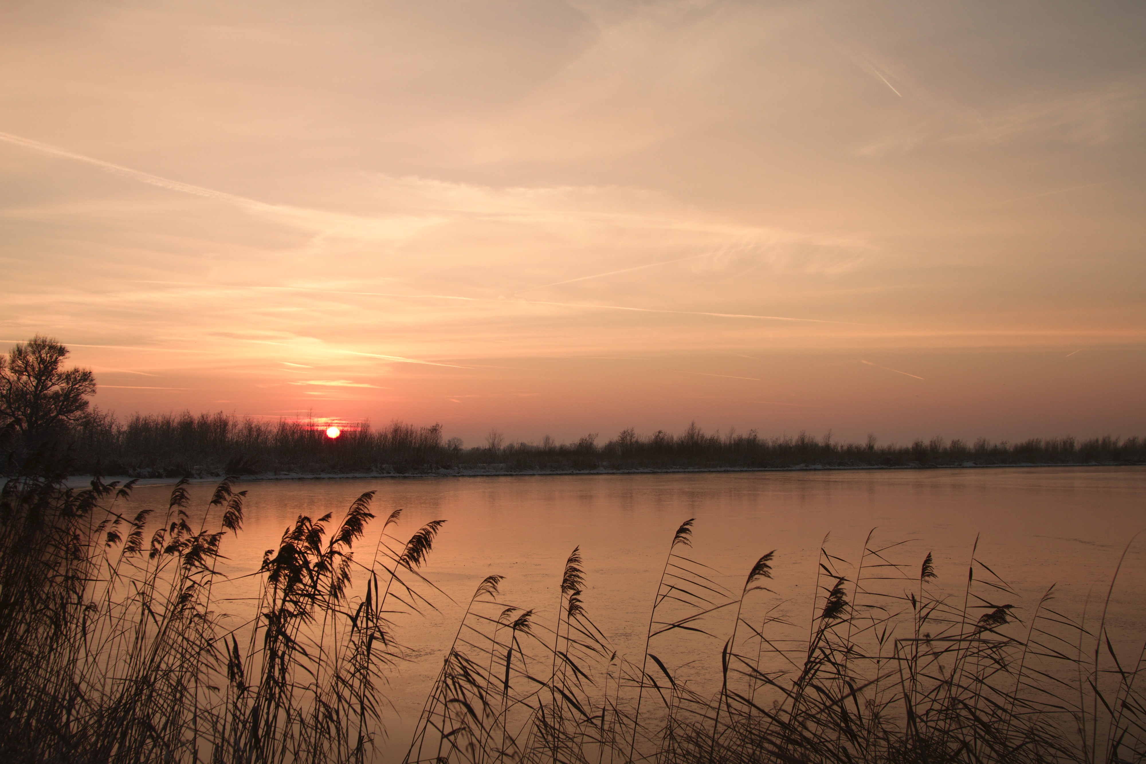 last-icy-light-leaves-7c