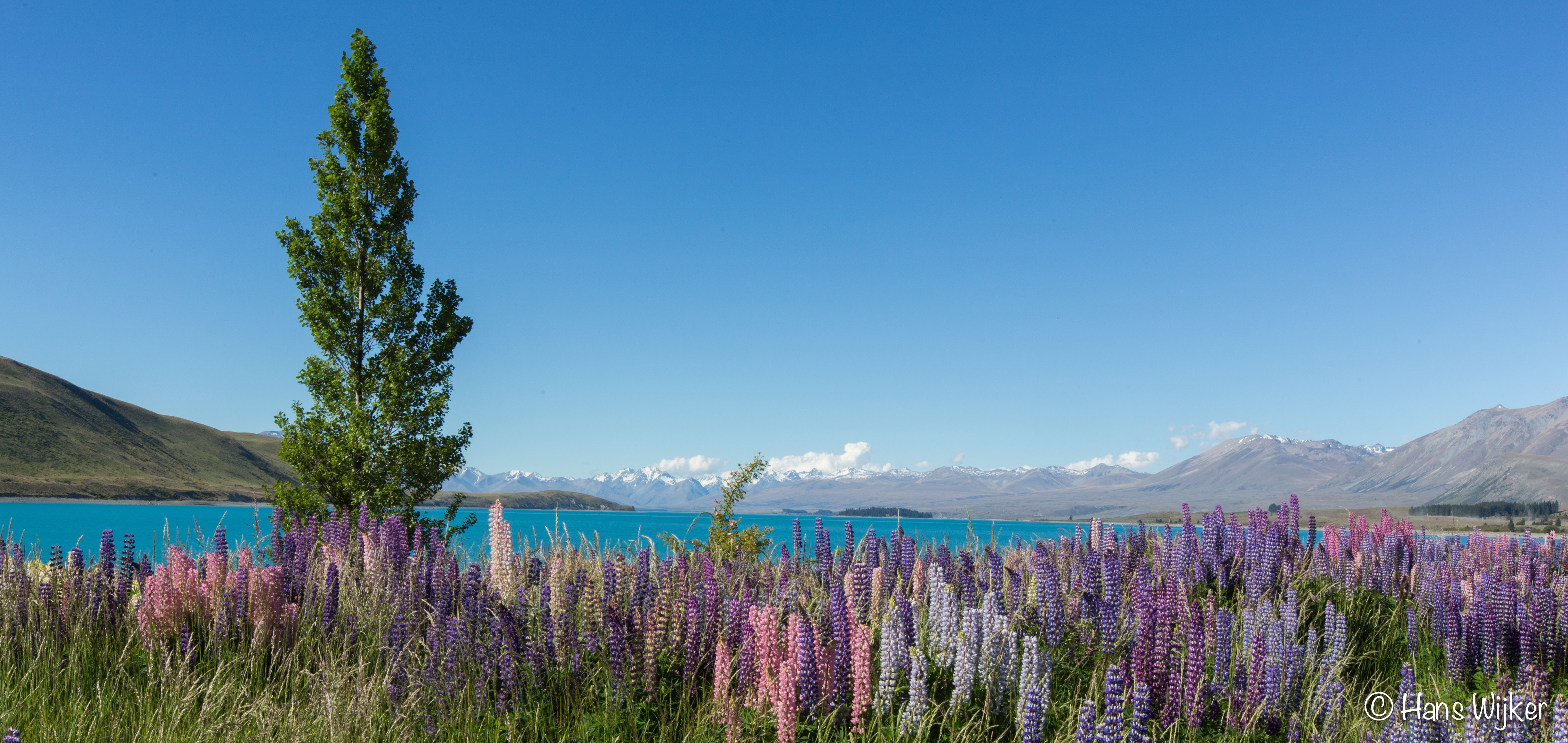 lake-tekapo-nieuw-zeeland